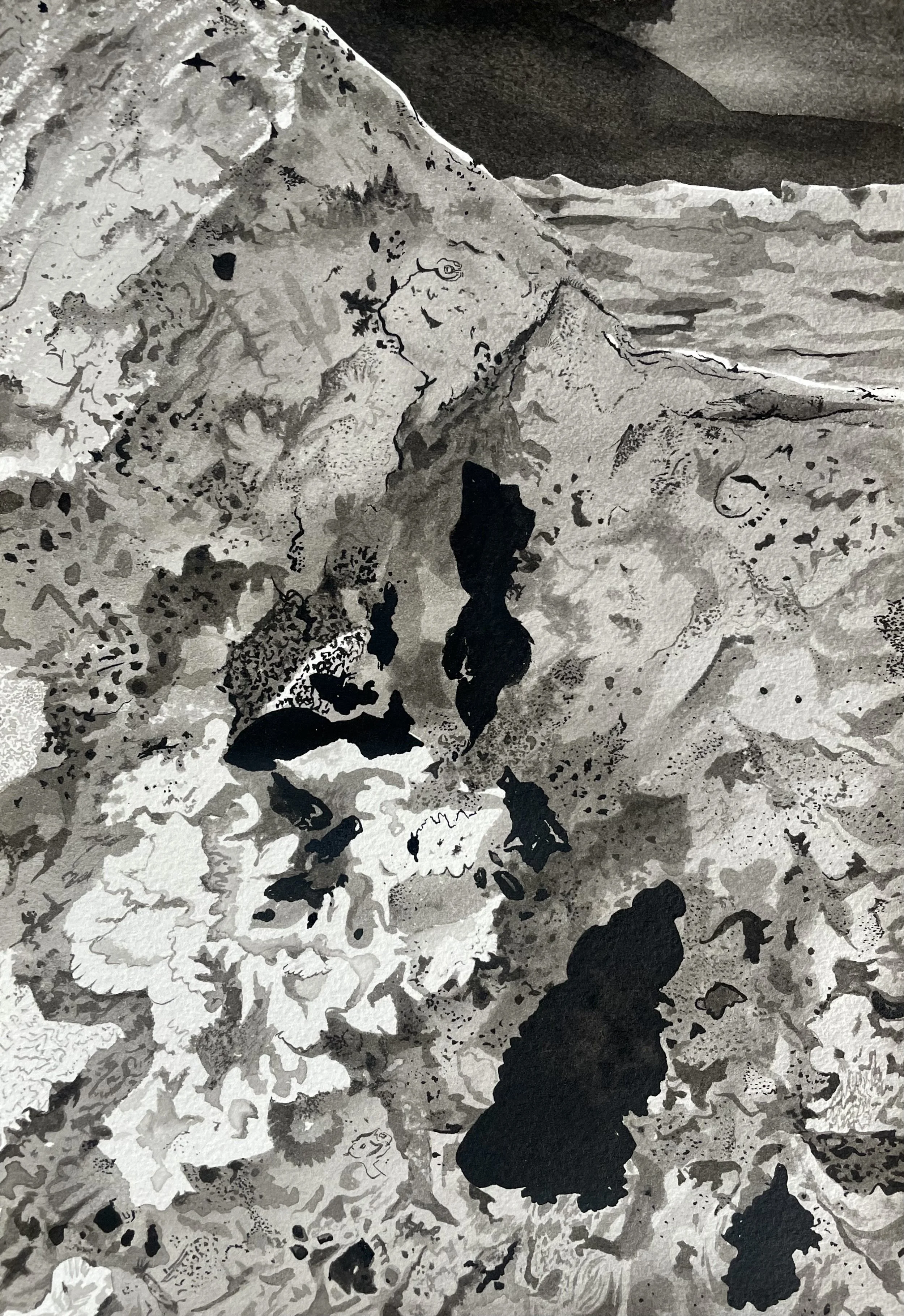 A reef, a desert, a mountain