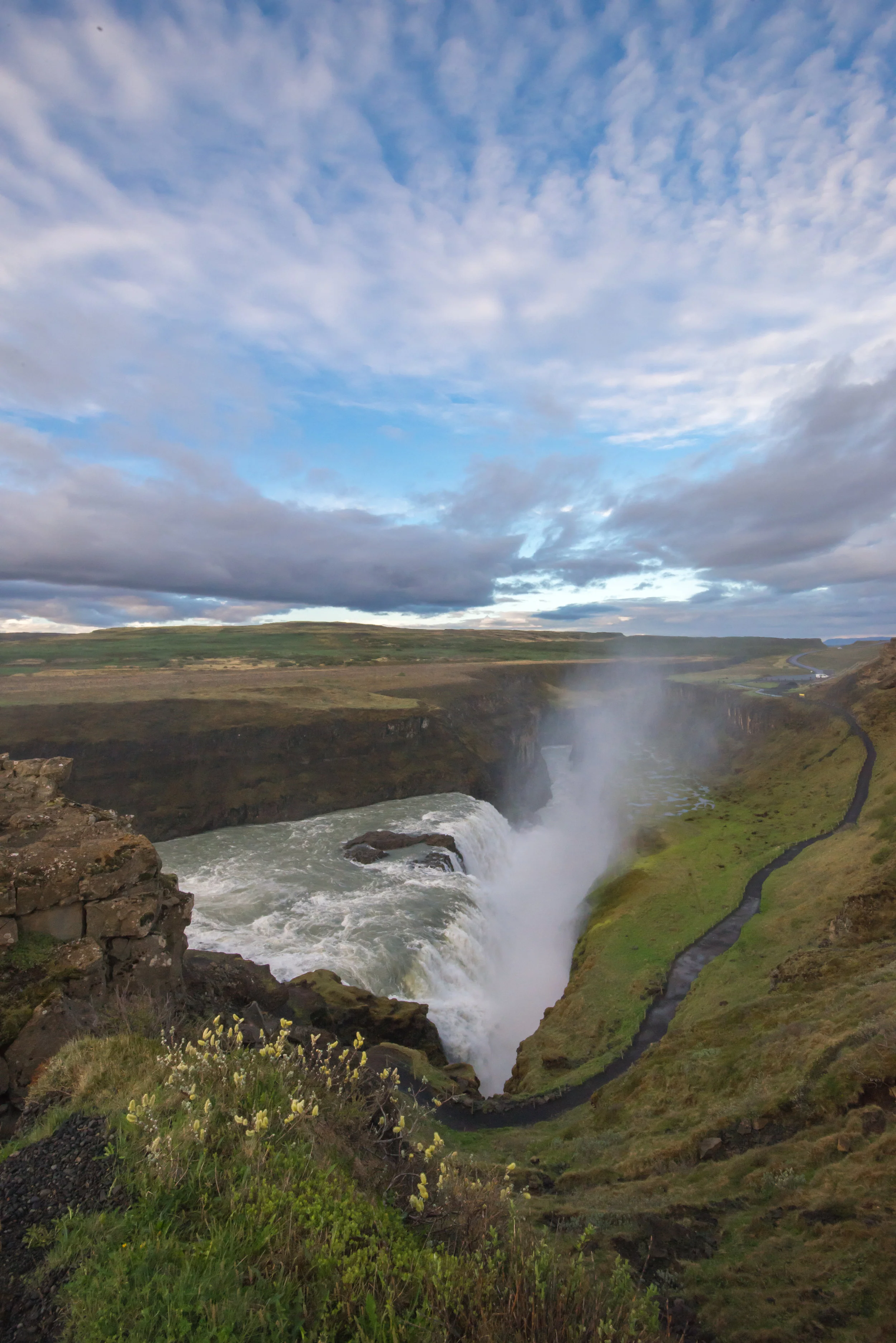 The Gift of Consciousness - Blog#15 - 27 April 2019