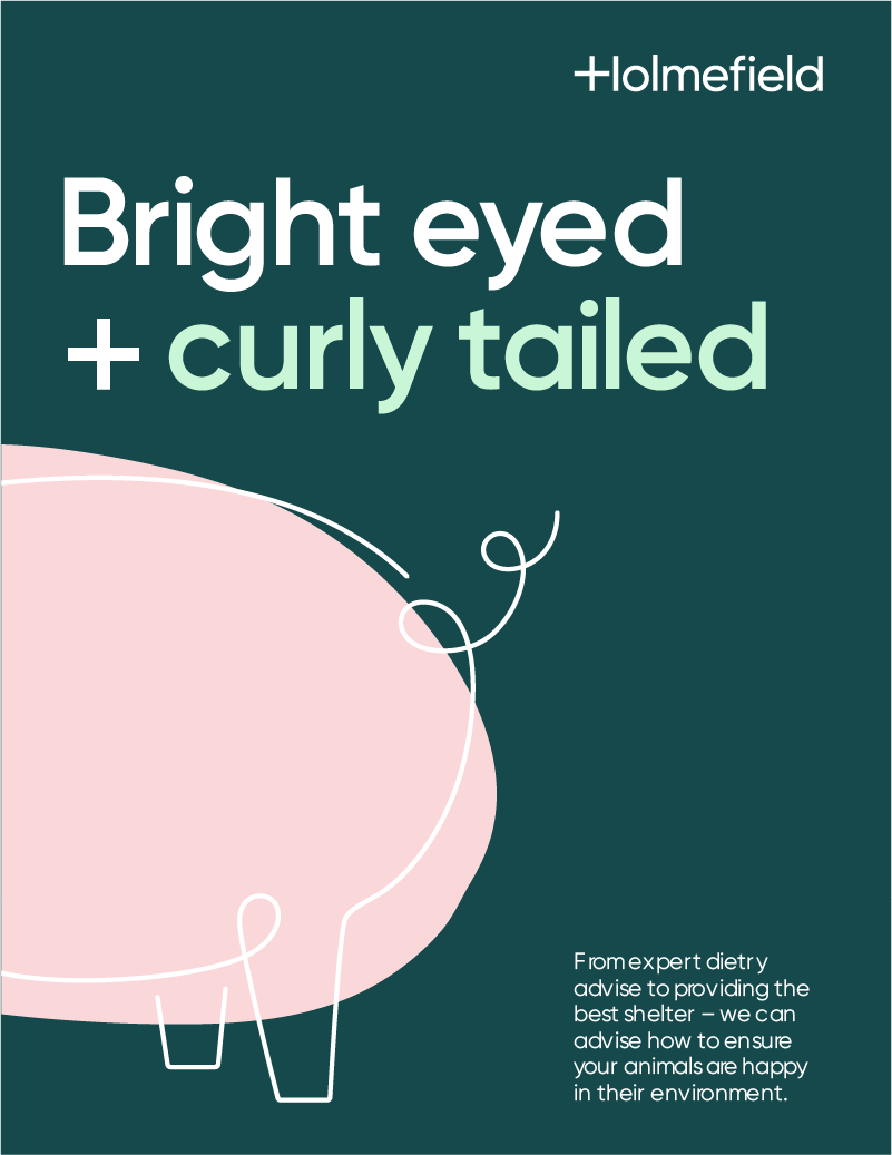 Holmefield_brand_poster.png