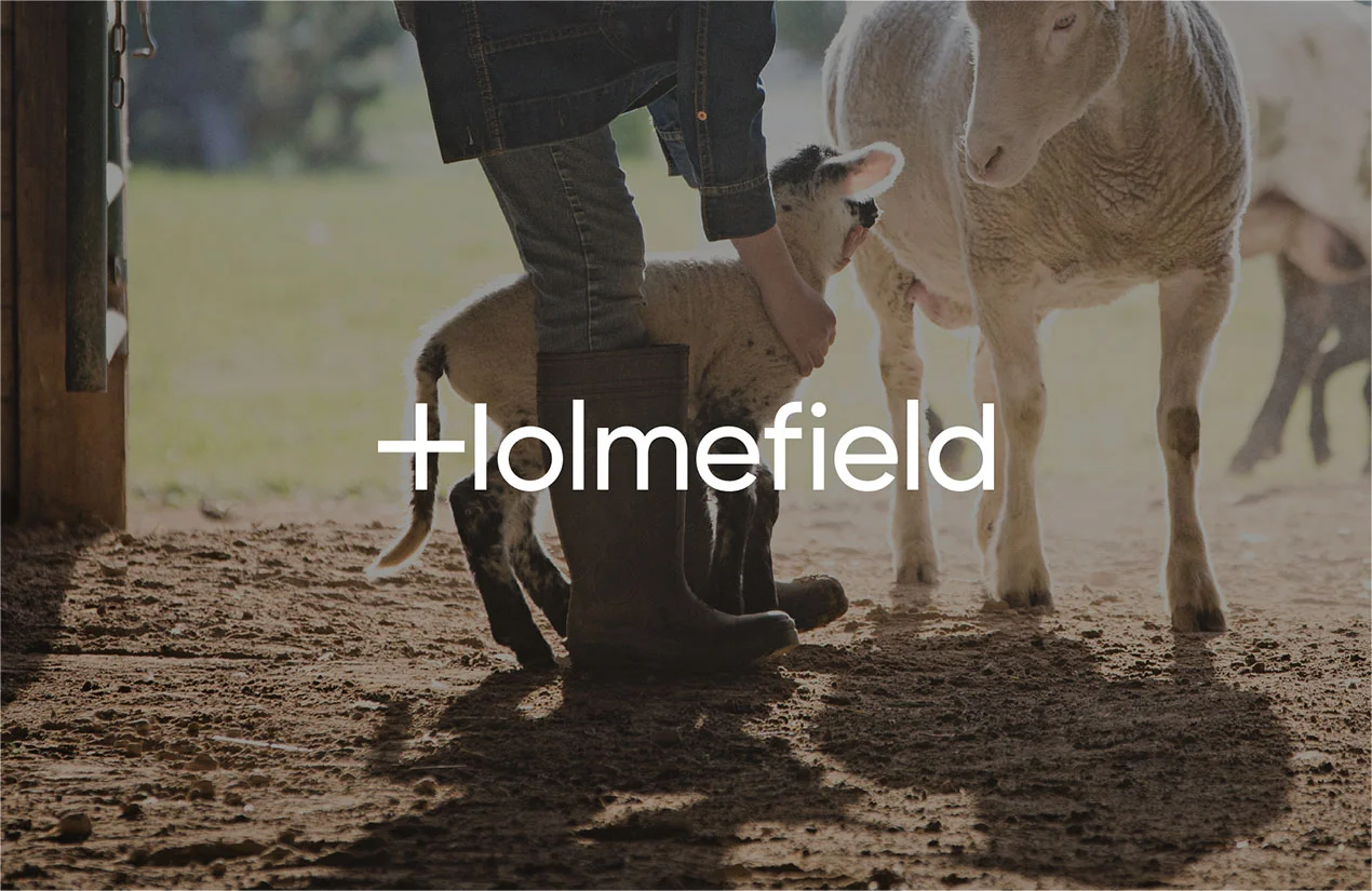 Holmefield_Branding_Logo_web.jpg