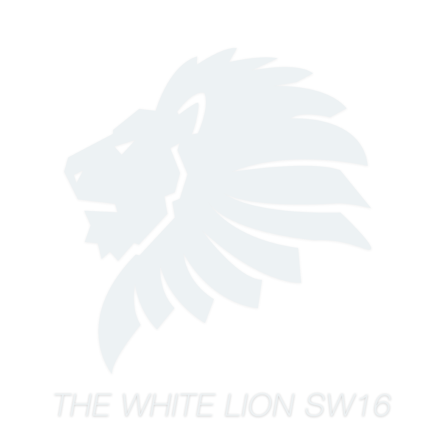 The White Lion SW16