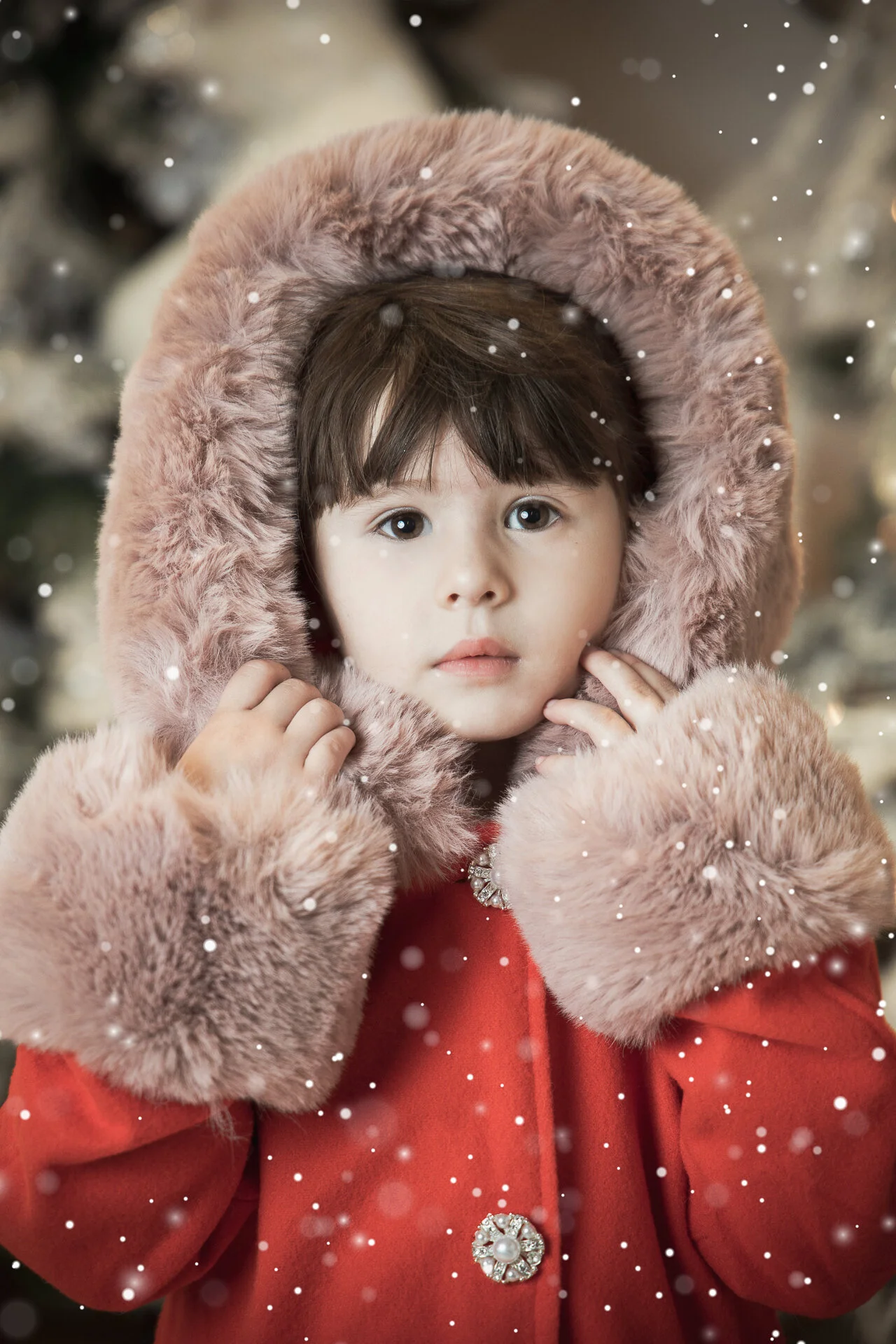 Sesión navideña a domicilio 🎄