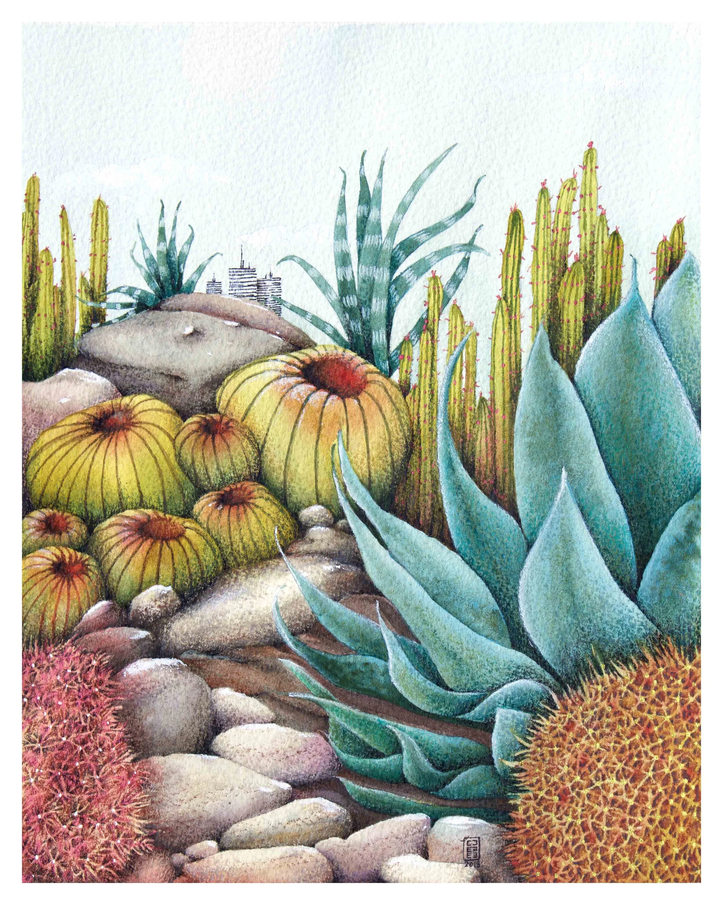 CCC_illustration_6.jpg