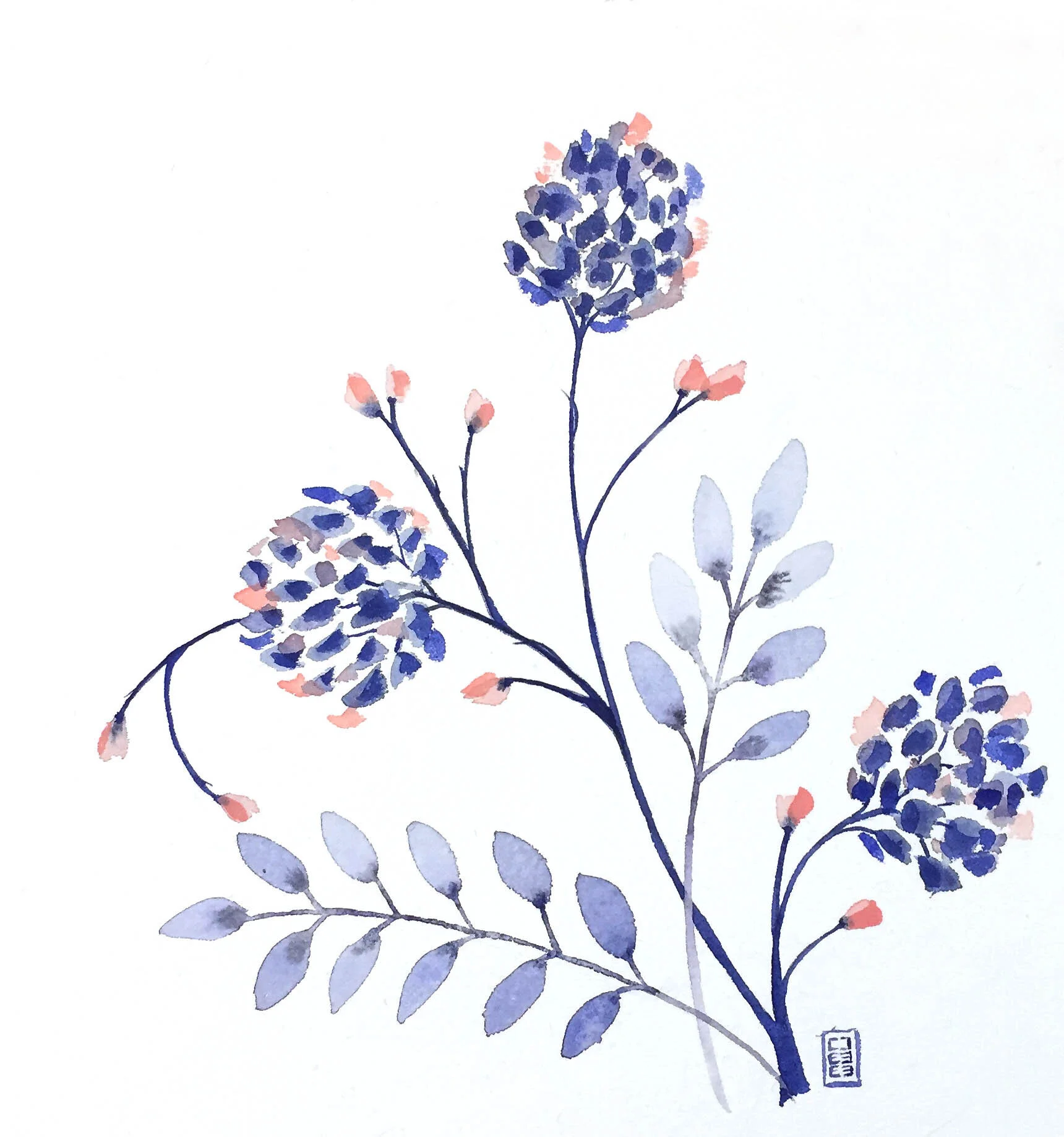 CCC_florals_4.jpg