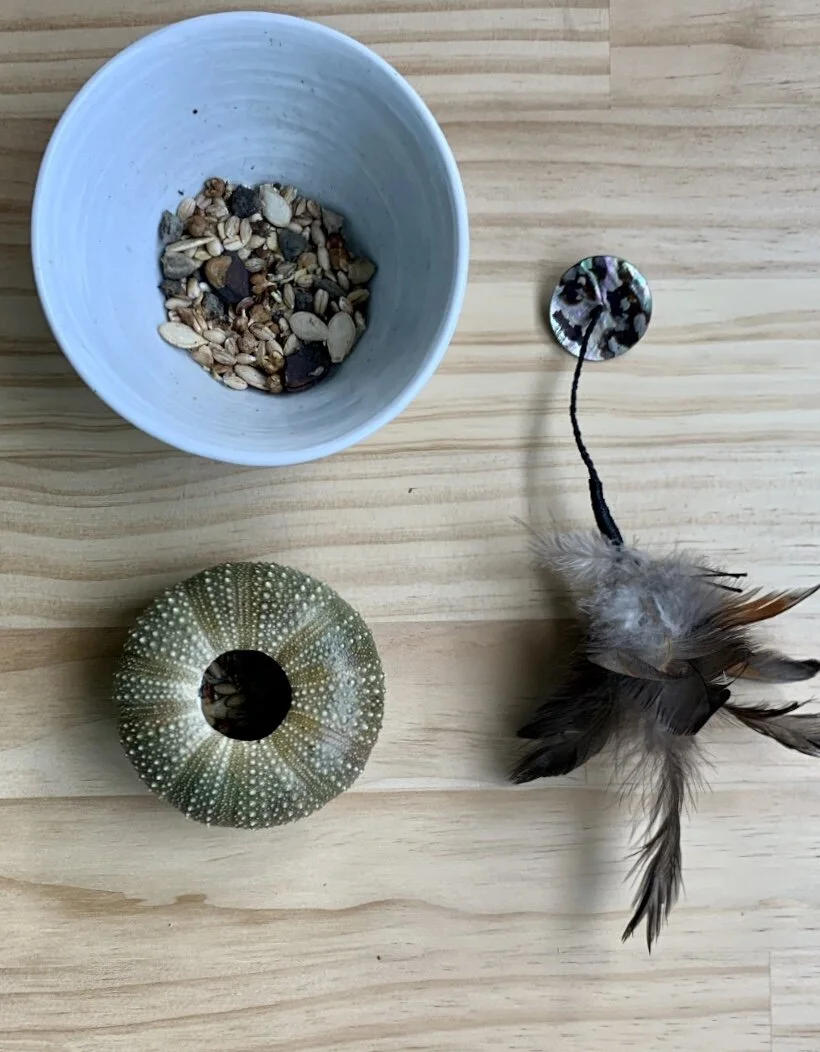 04A0ED03-F7E2-4E0D-901D-5DCABC5DF8FC