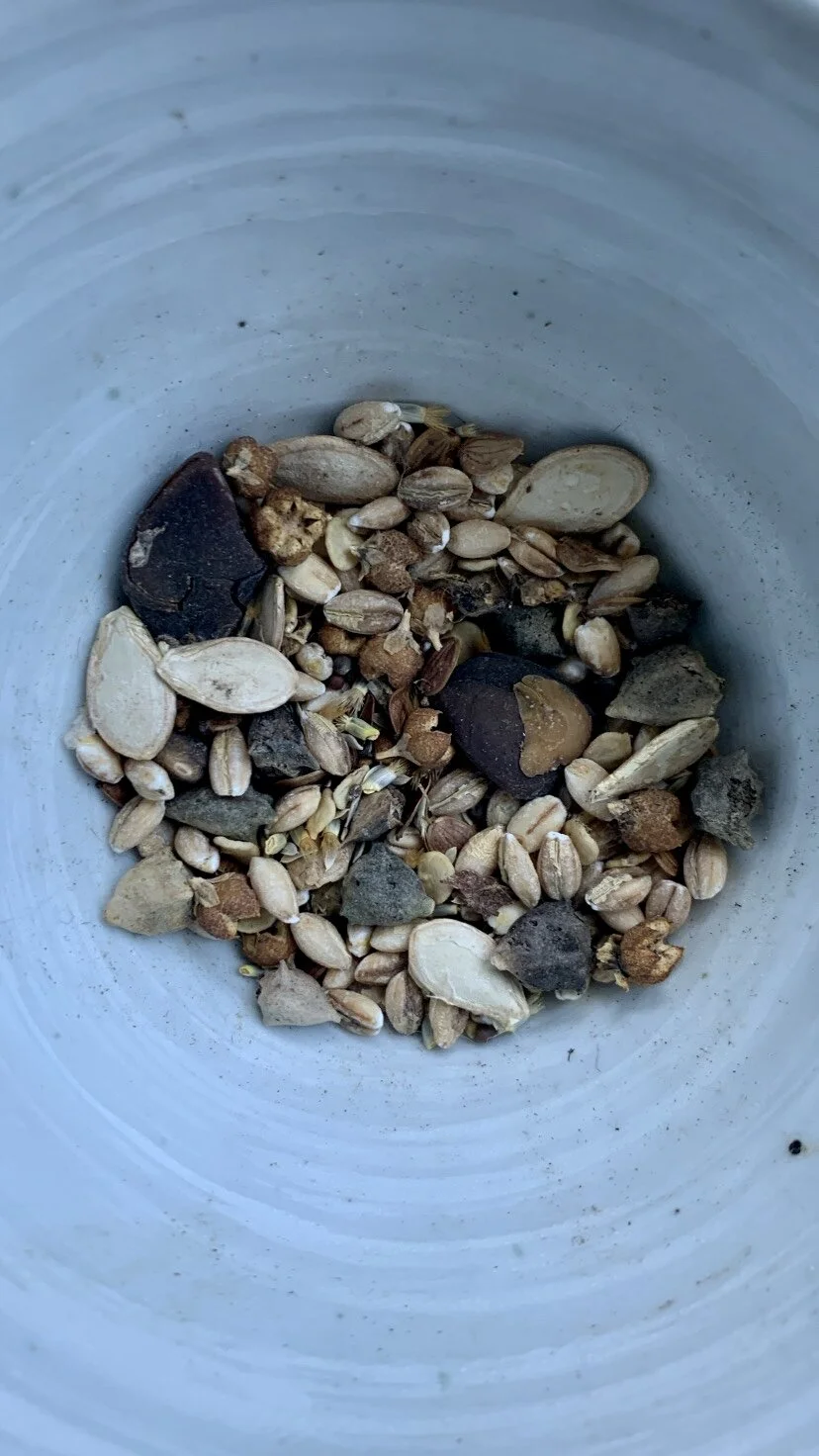 1AA28C63-B71D-4168-AE84-D028FBD81DE4