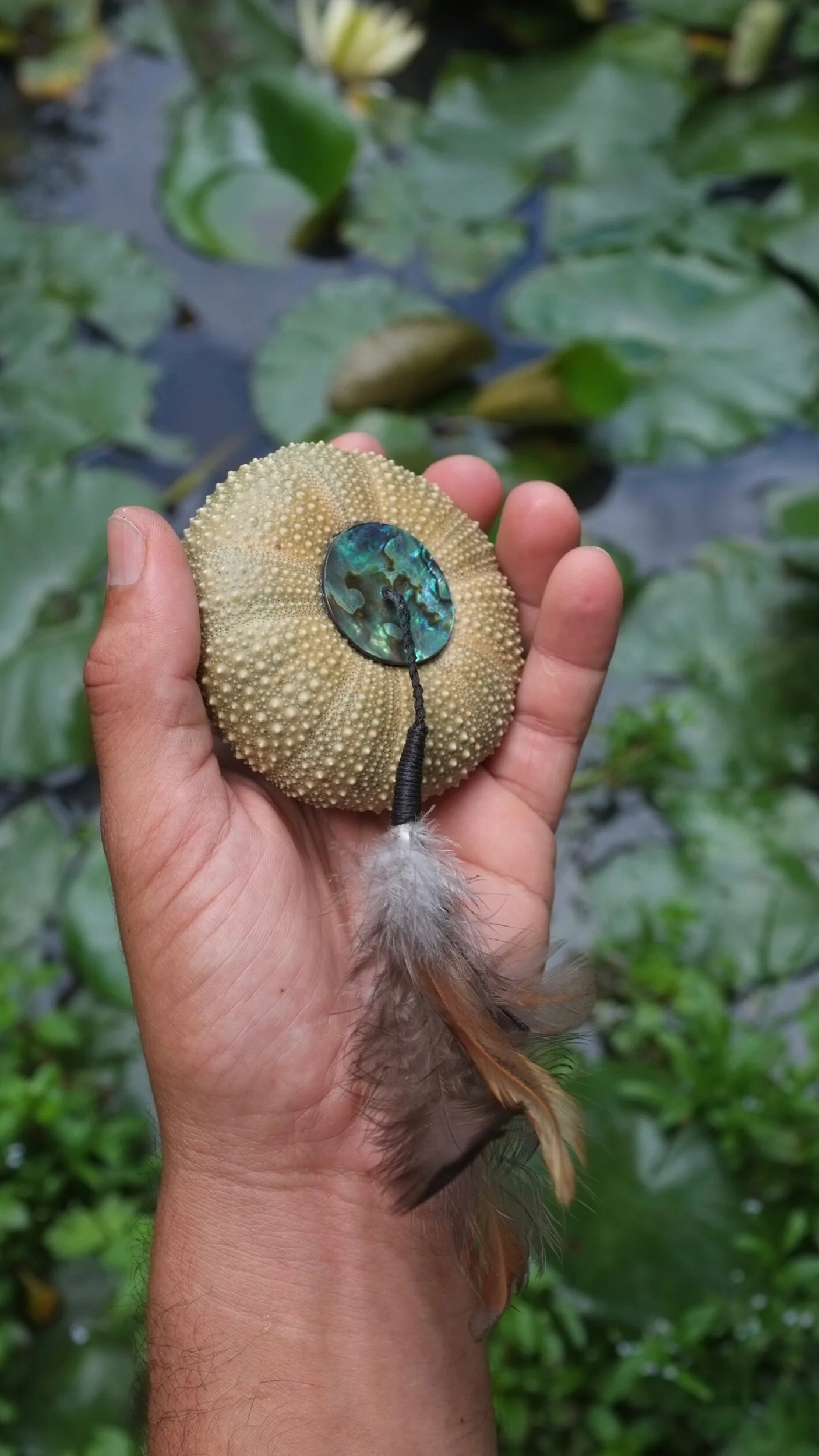 067590CA-42F8-4017-AD3E-FFDB7A1A2B29