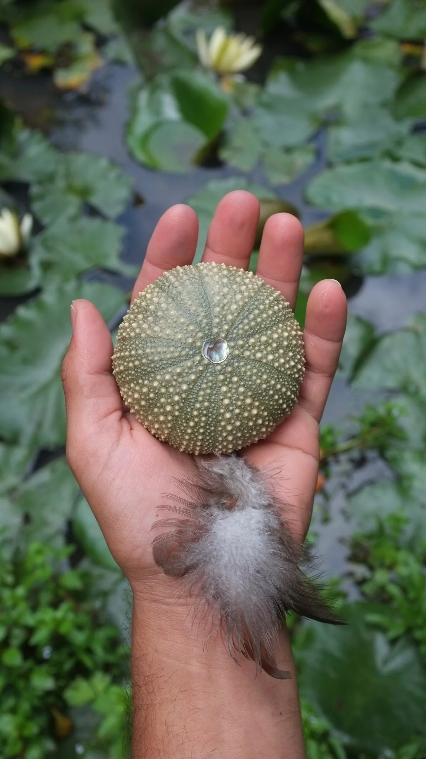 773FEF9B-2CAB-4ED5-9544-3F94BC2D2D26