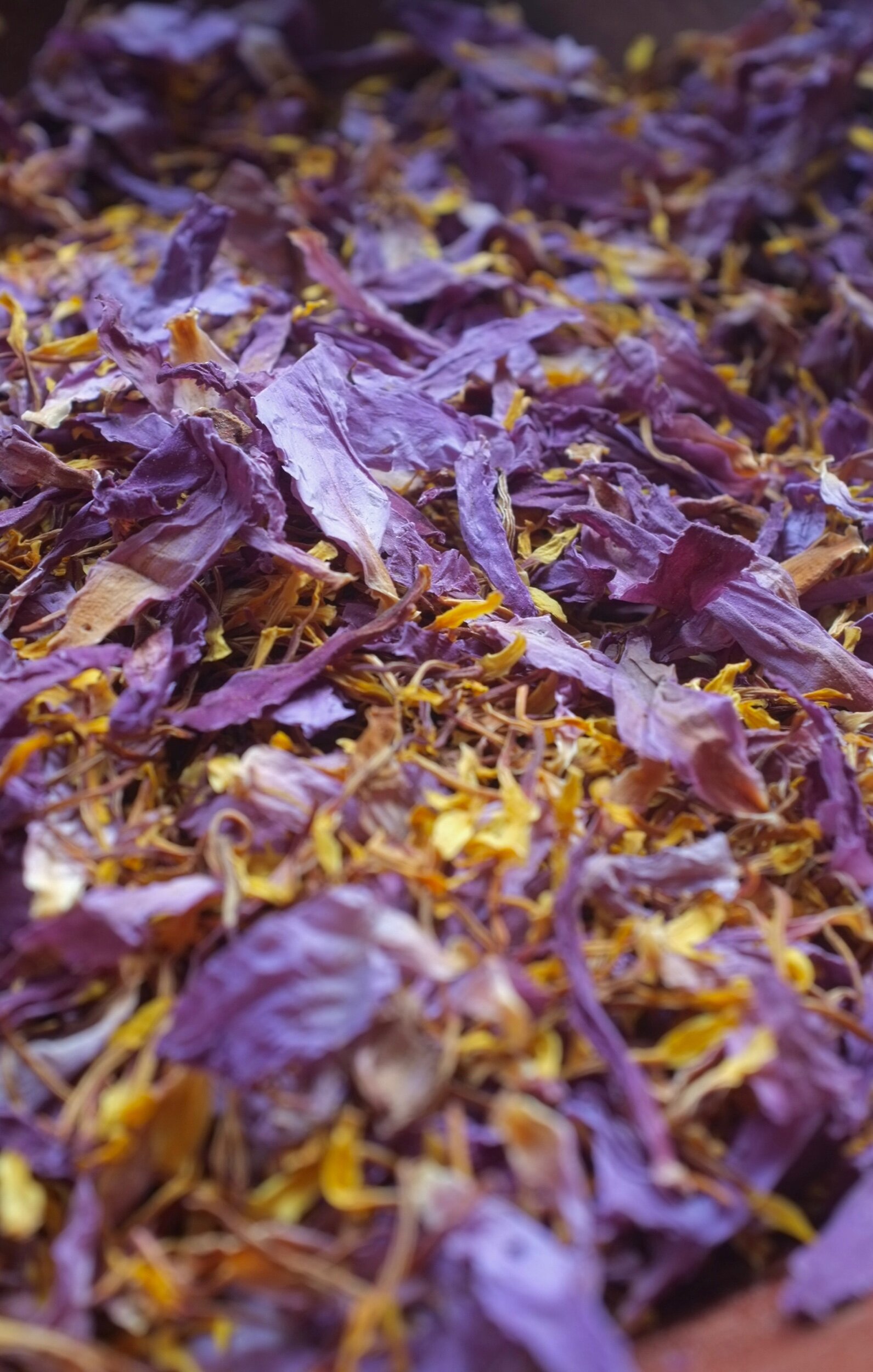 C9AEB785-0A0B-4B34-B427-5729A30AA0BC