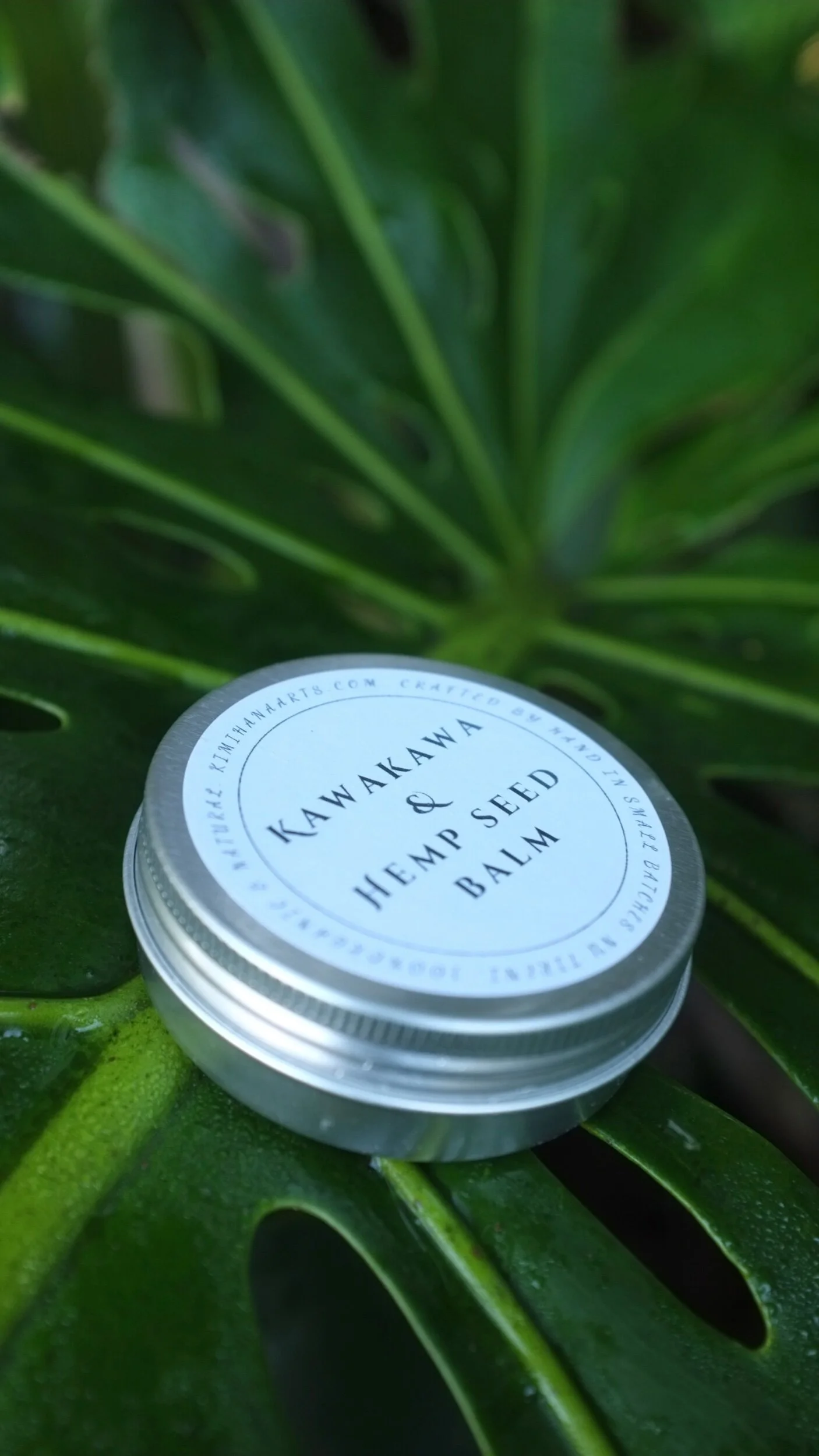 9CB23652-5DBC-4B8F-AD0F-73B332A6A1D3