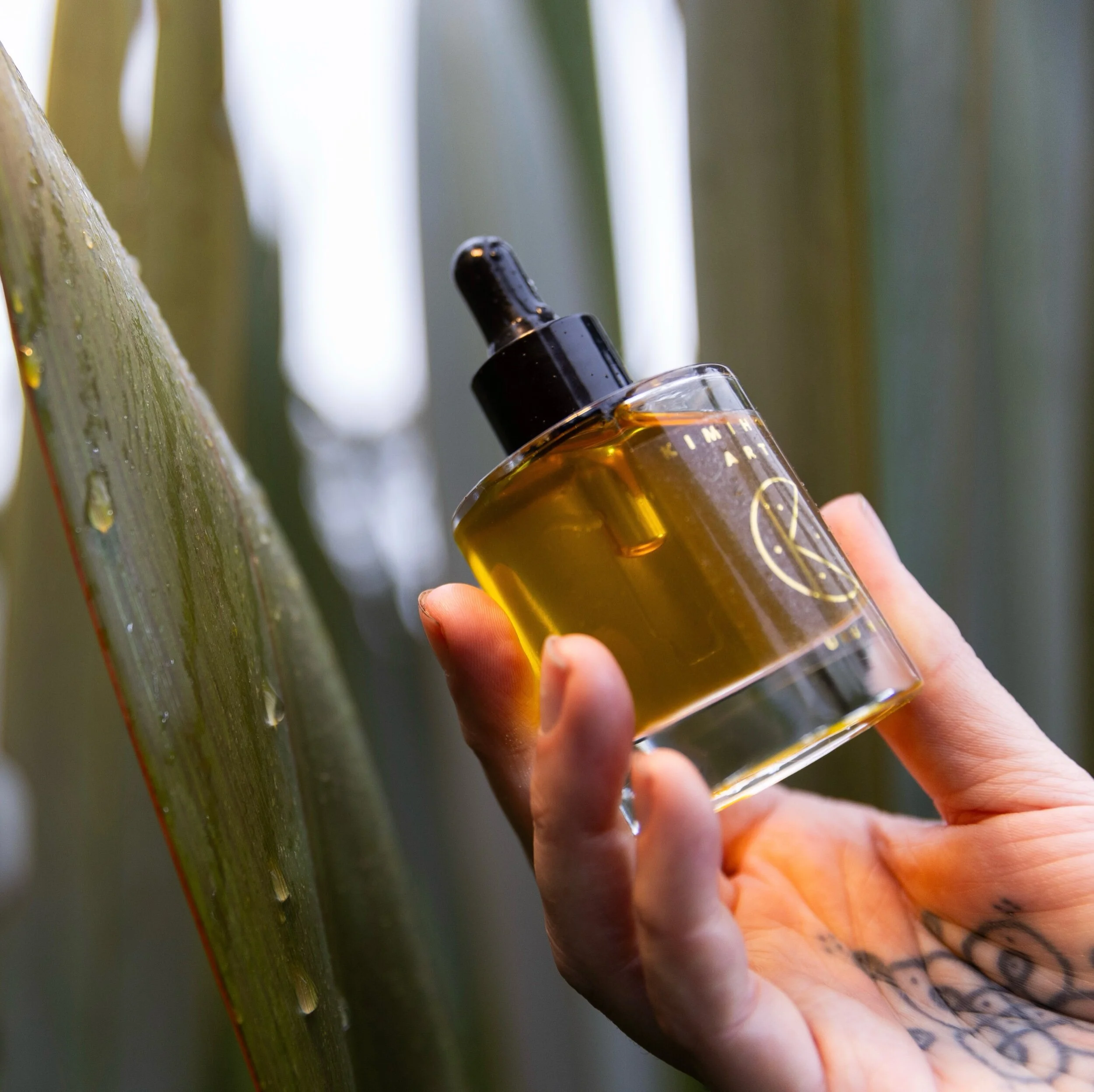 A7F1B973-CEF1-4428-AB18-E617A2B100A0