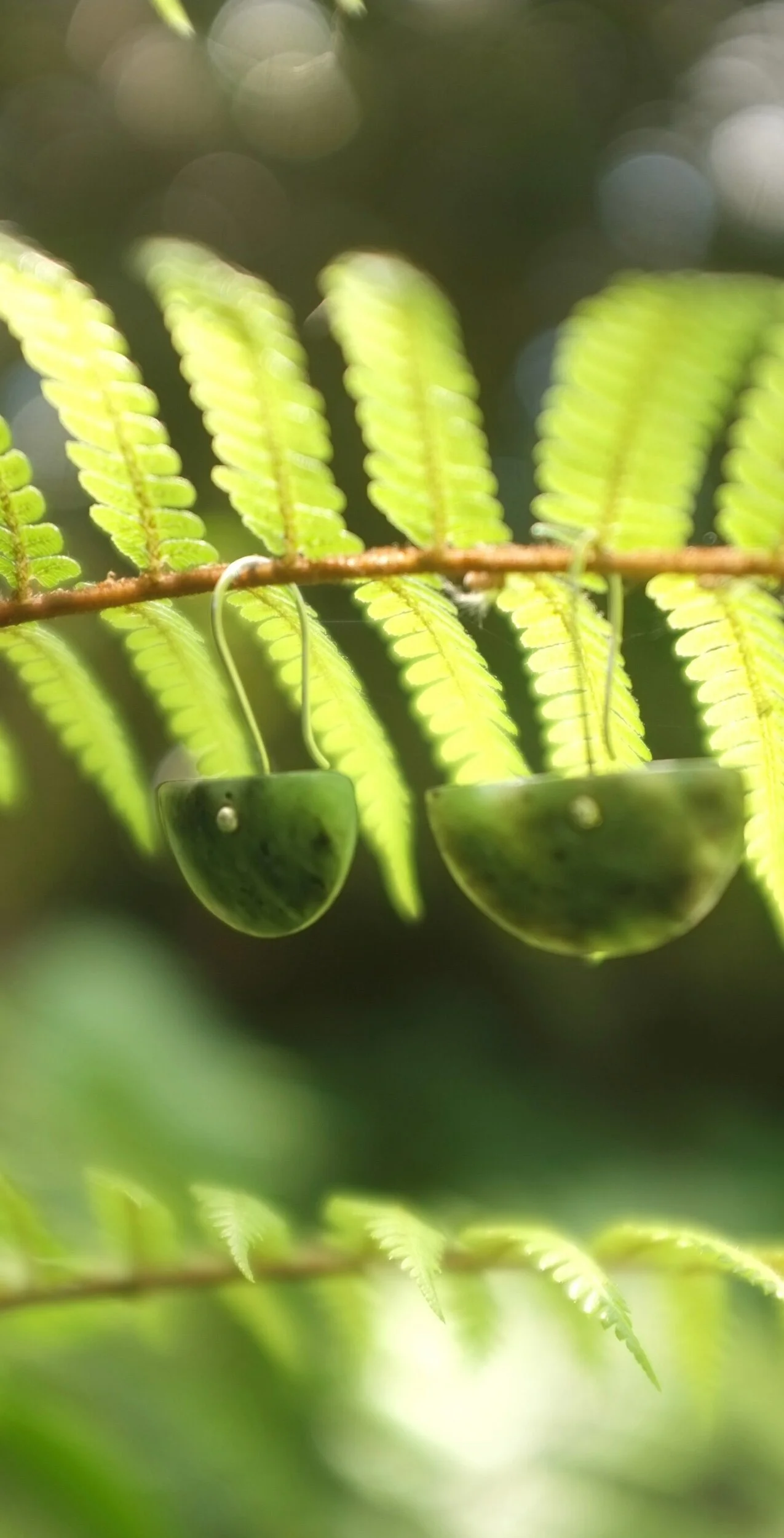 7F65C60D-6BA6-465B-8C6A-A4FFD56F7ADF