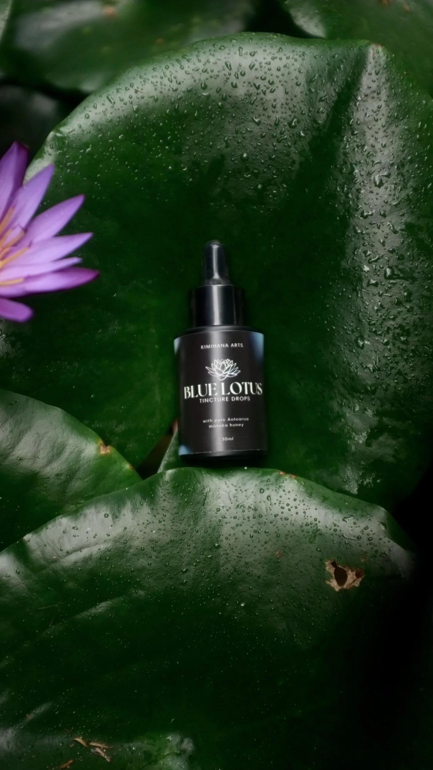 0E9865F3-8612-4C65-A233-57BD8B4F32A7