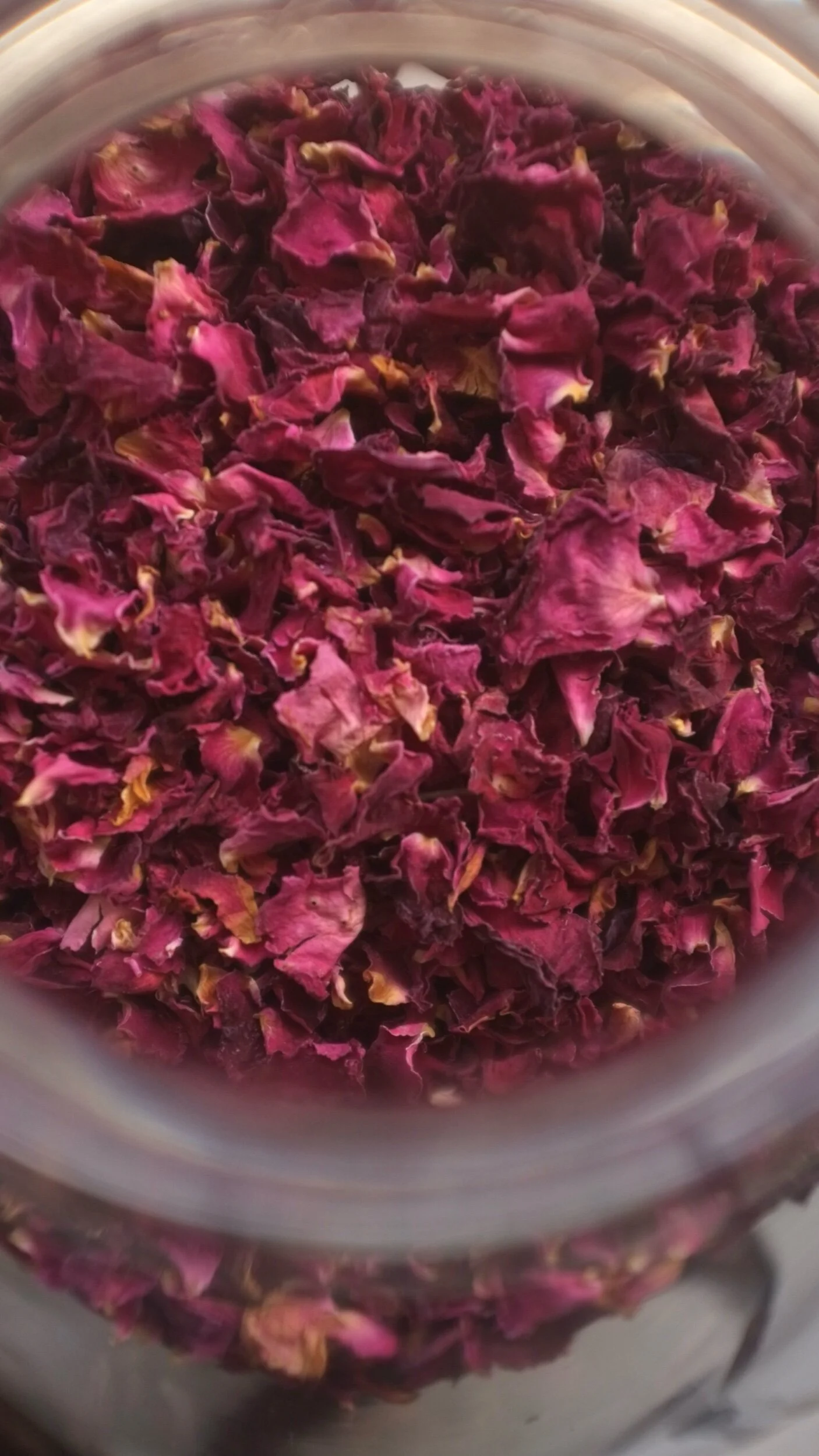 0443E64C-E5C5-46FC-85DD-9AA07119A0AA