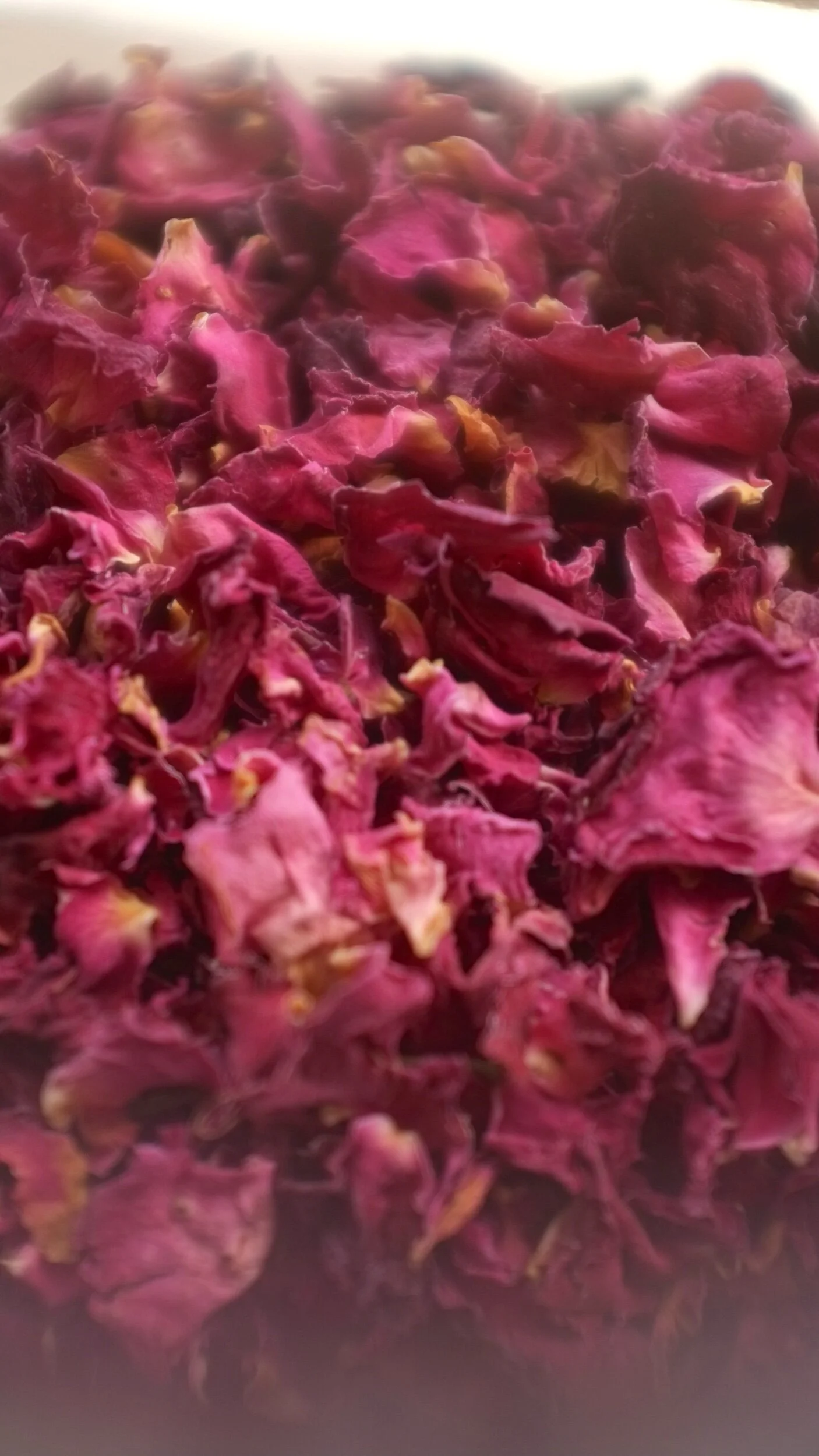 BE2FC960-AA00-4533-A5B5-4195D3AA7487