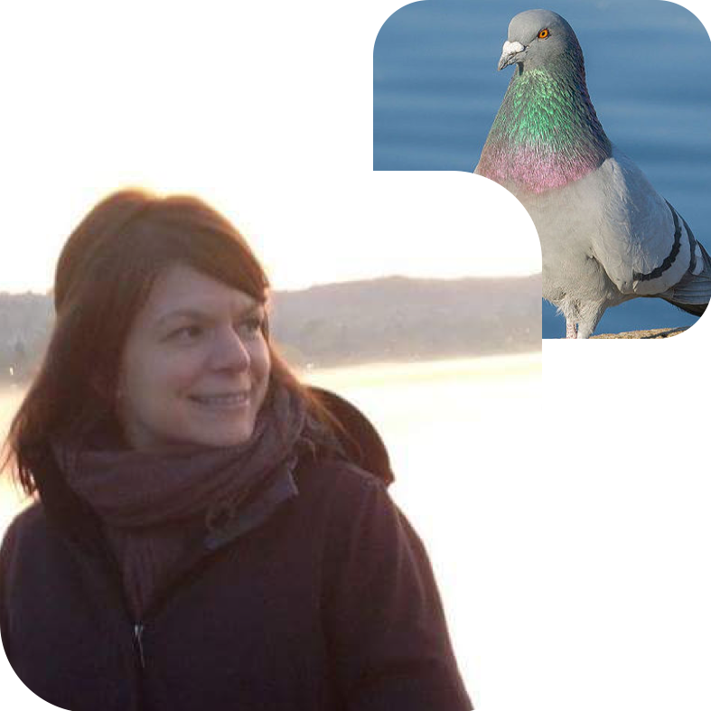 KATE REDMAN, PROJECT DIRECTOR & BOARD Bird Twin: Rock Pigeon Why Commongrounds? Because I can't wait to hang out in this building. About Kate: Kate is a community enterprise attorney and founder of Commonplace Law and Commonplace , a coworking space and future tenant of Commongrounds.