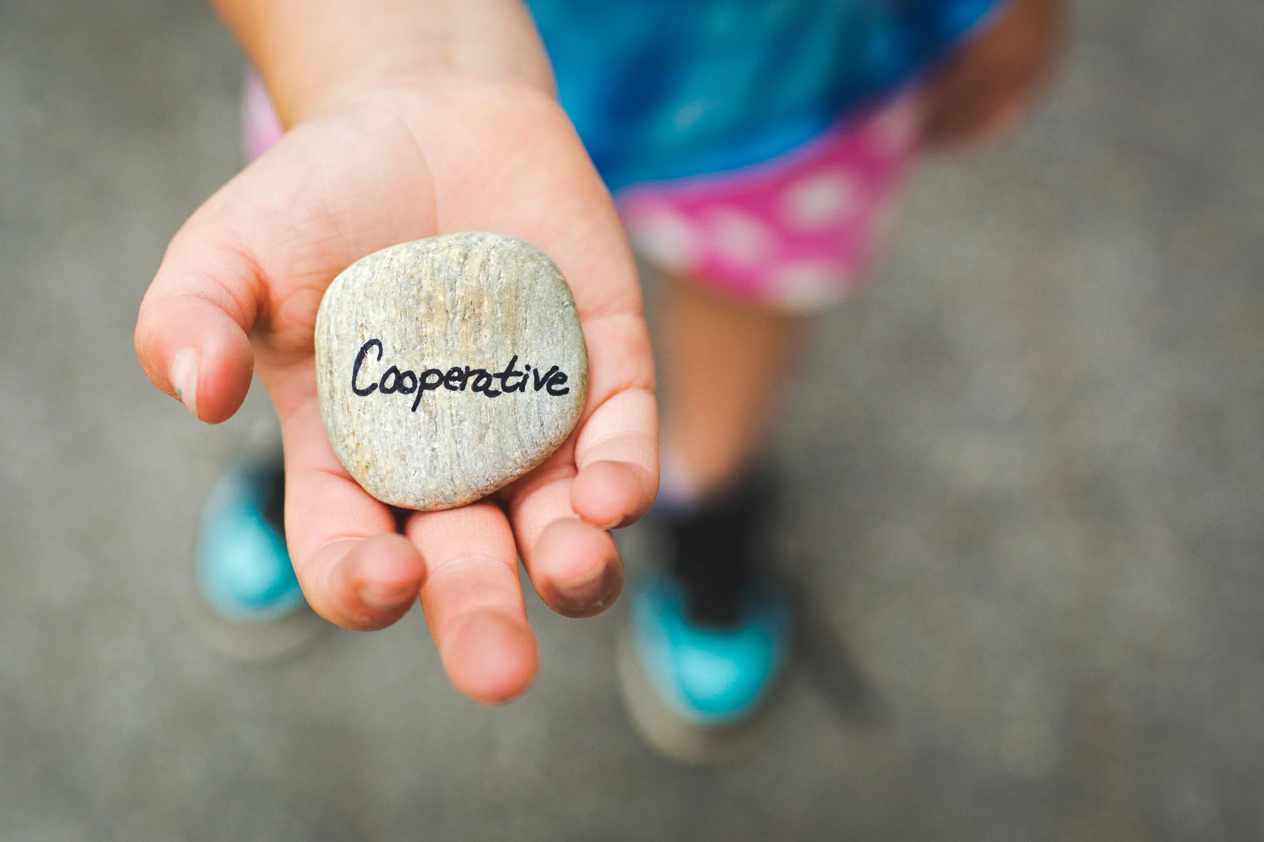 Cooperative Ownership: What it is, what it means, and how it supports a sustainable future 