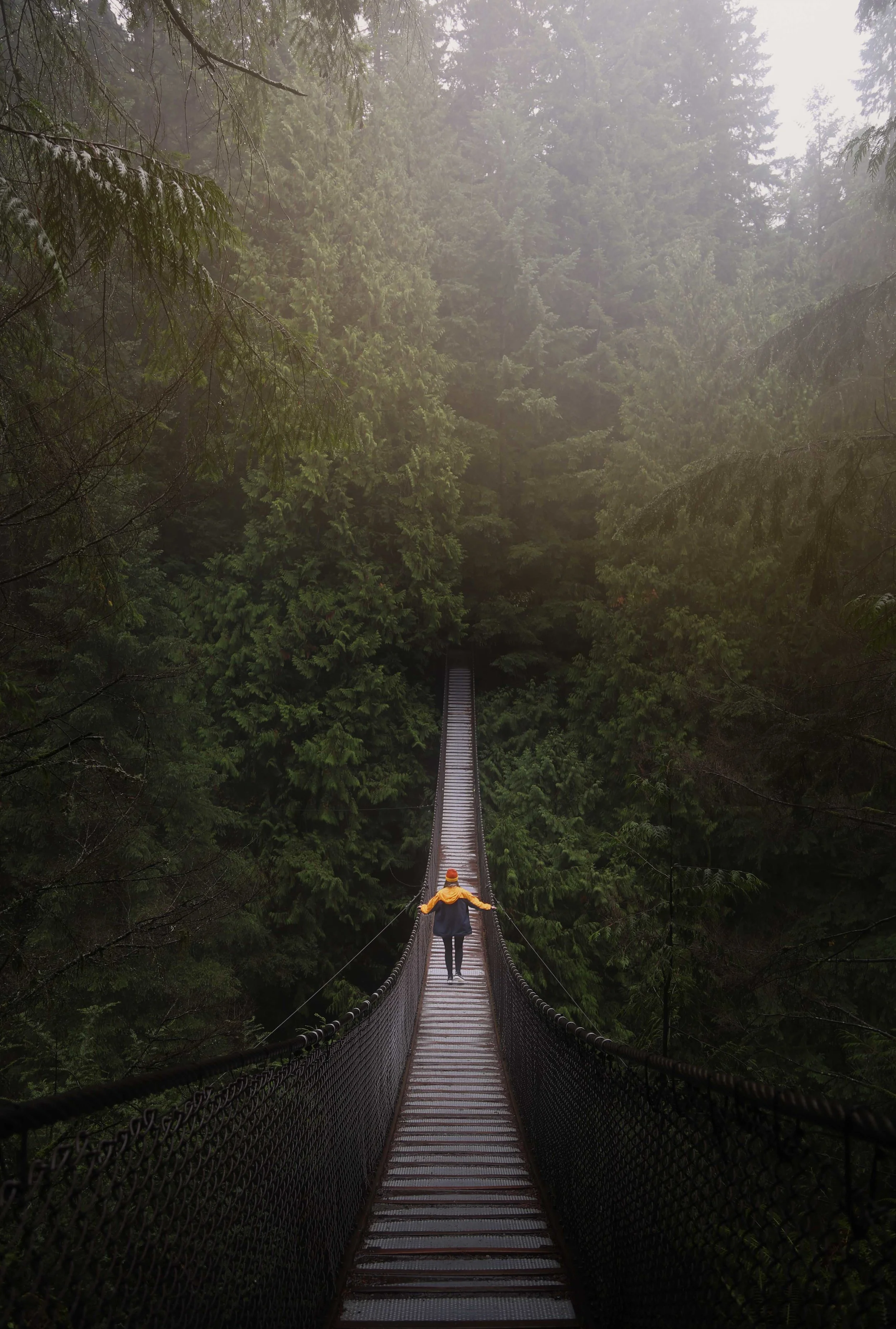 Hebrews: Going the Distance