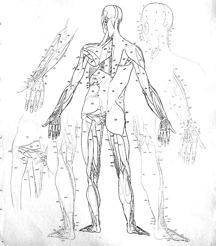 When each body part is working properly, the body grows so that it builds itself up in love. (Eph. 4:16)