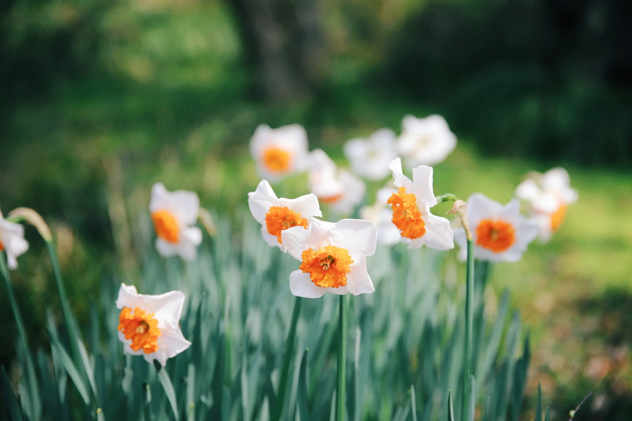 unsplash-image-9CMkfAtVZK0.jpg
