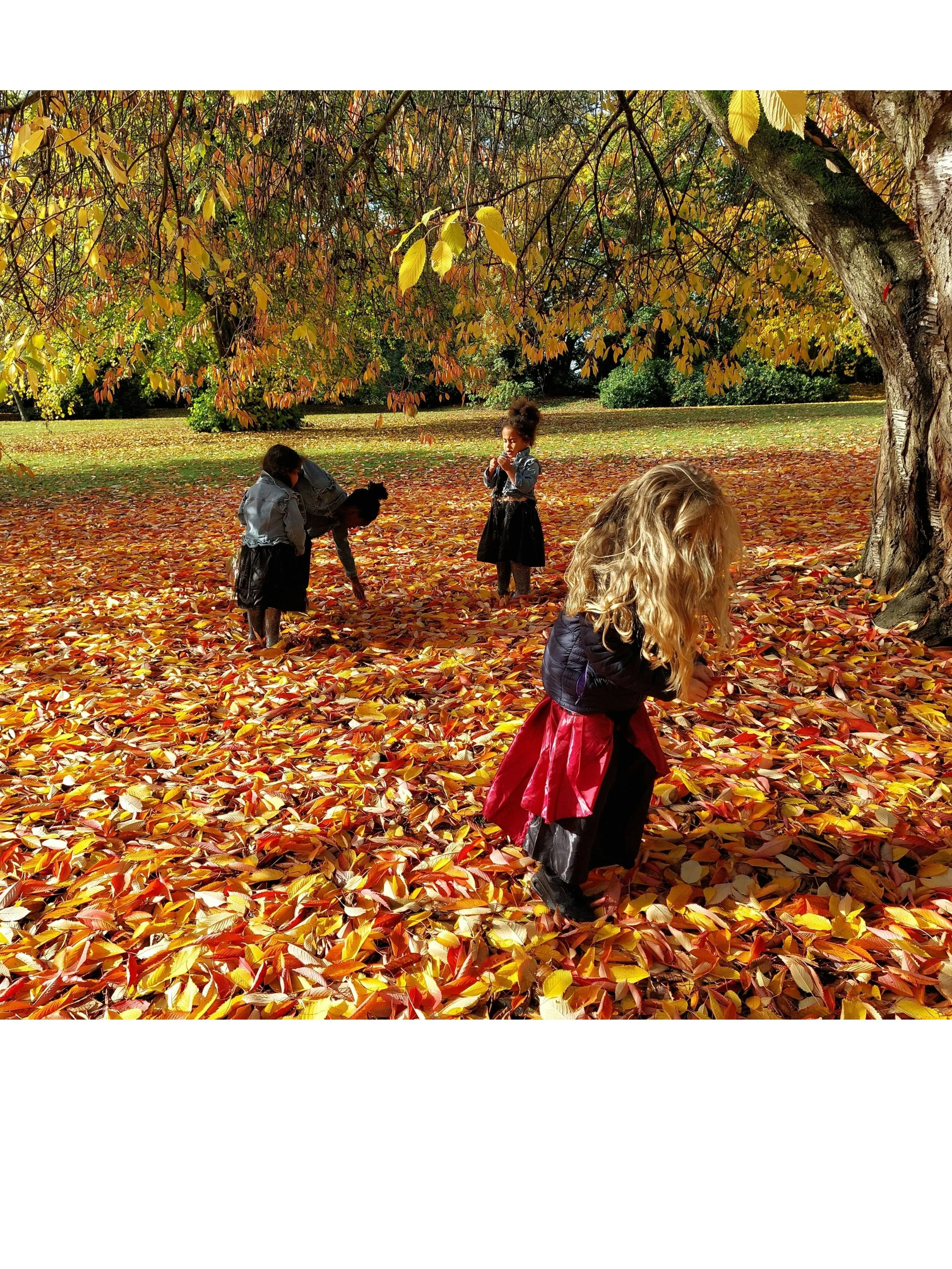 Fall Festival and Church-Wide Picnic