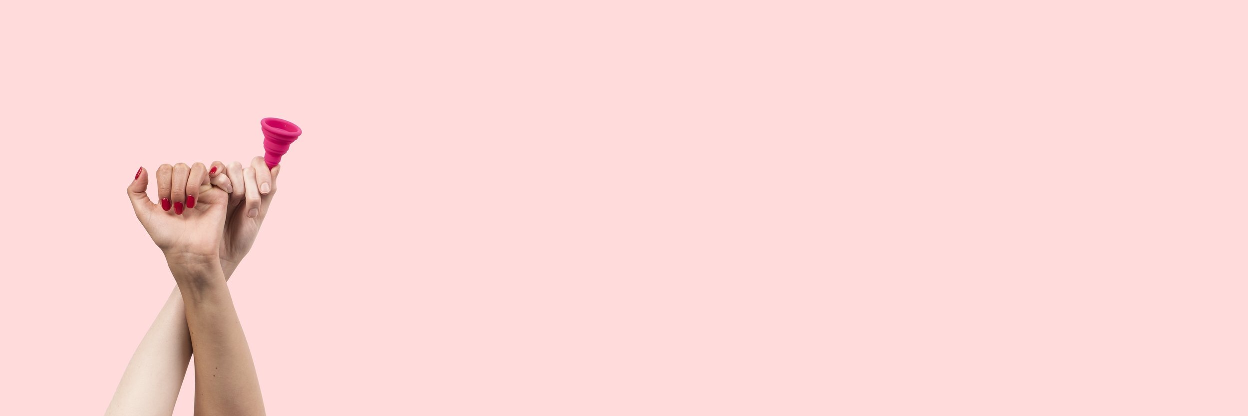 header_about.jpg