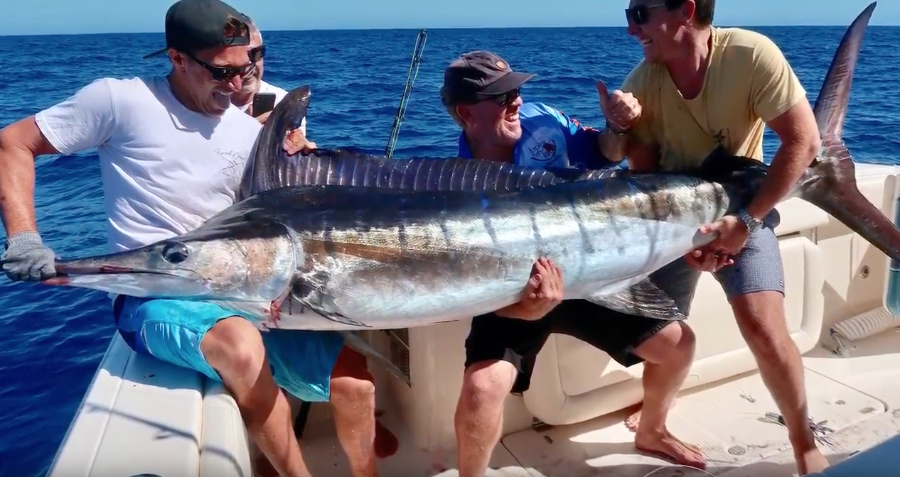 Sydney Marlin Fishing on the Grady-White Canyon 376