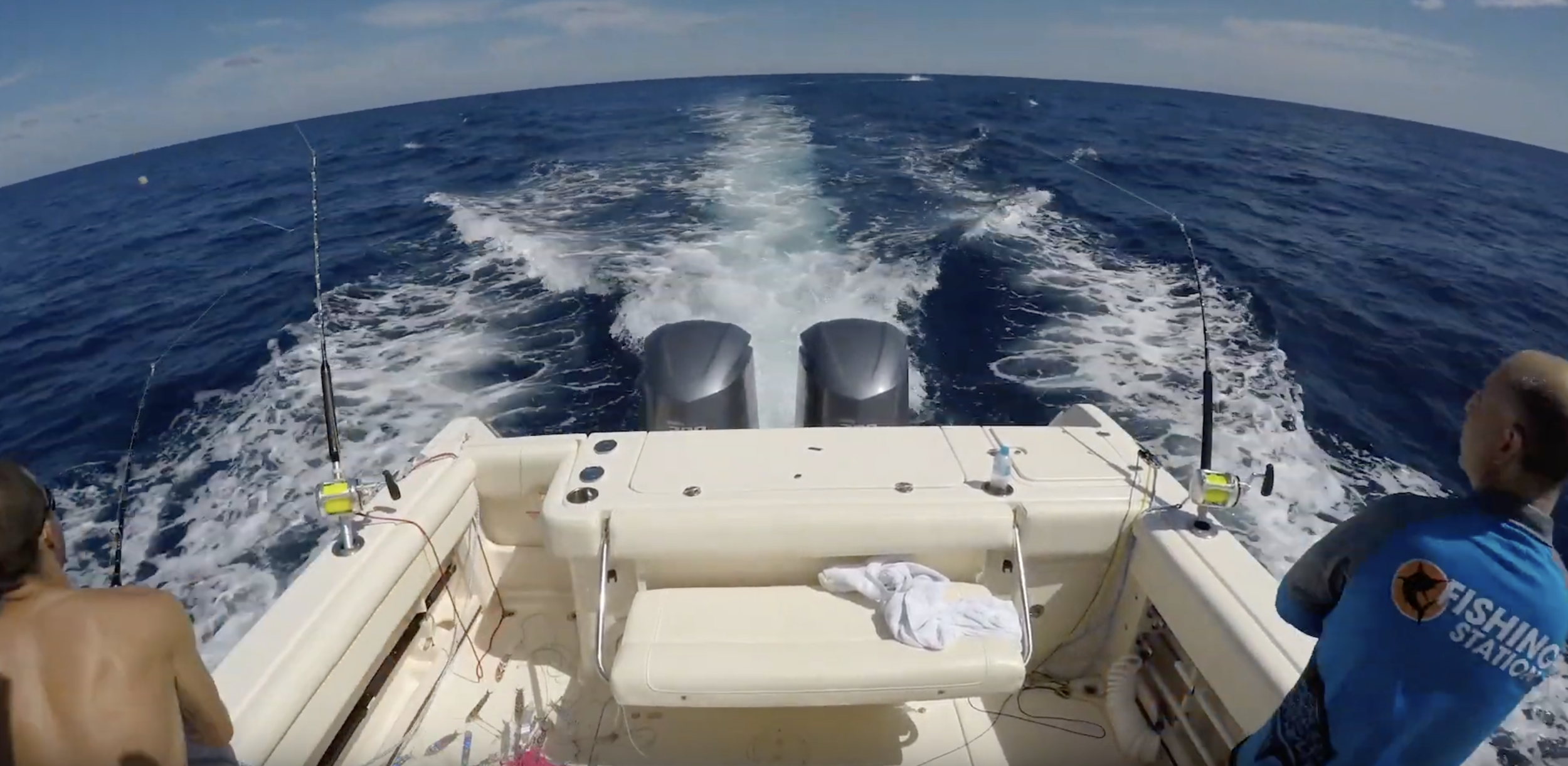 Must watch: Blue Marlin vs Grady-White 300 Marlin!