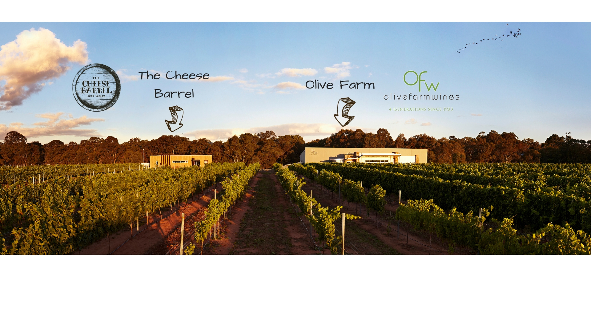 Olive Farm is here.jpg