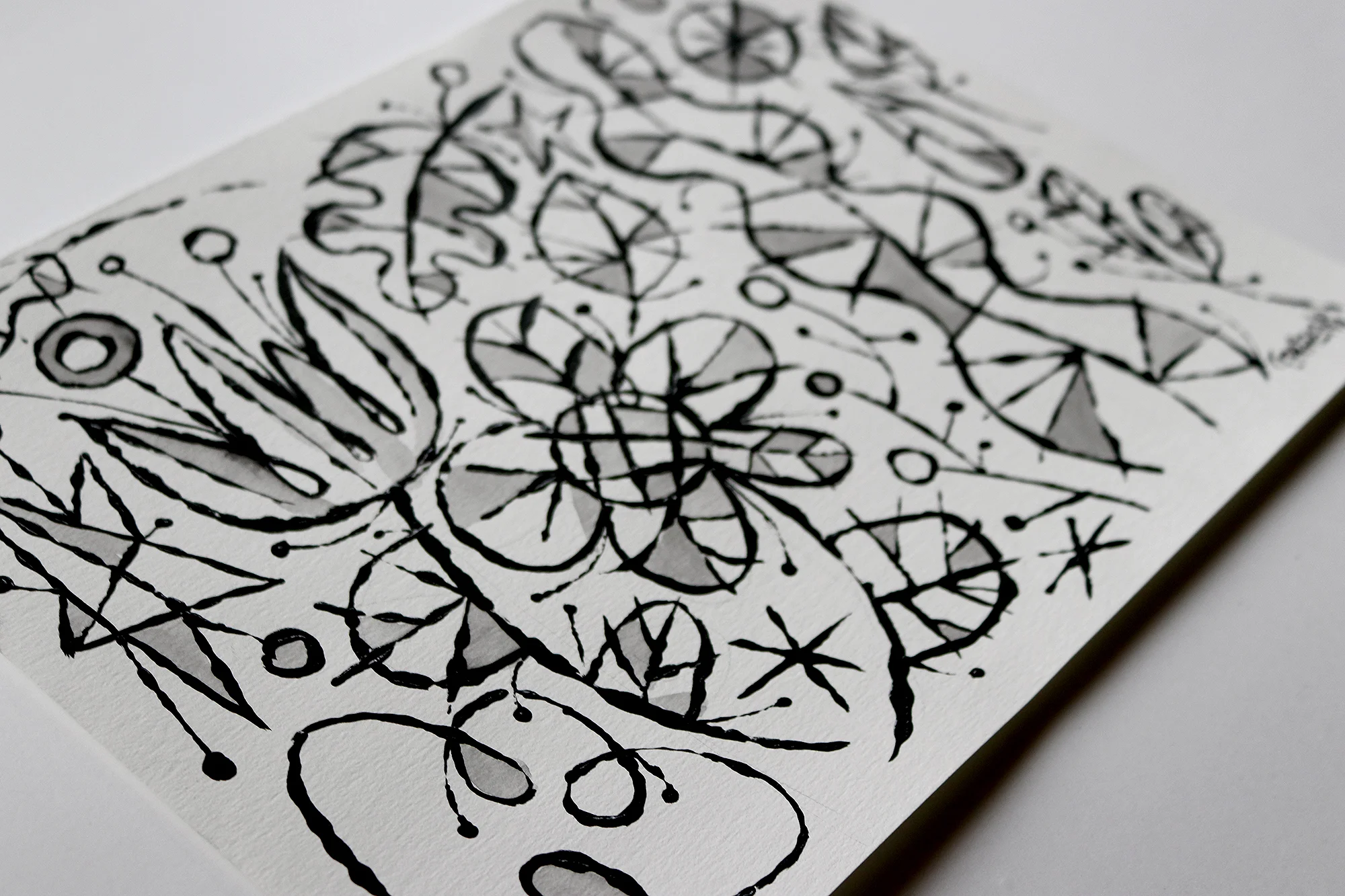 GardenB&W3.jpg