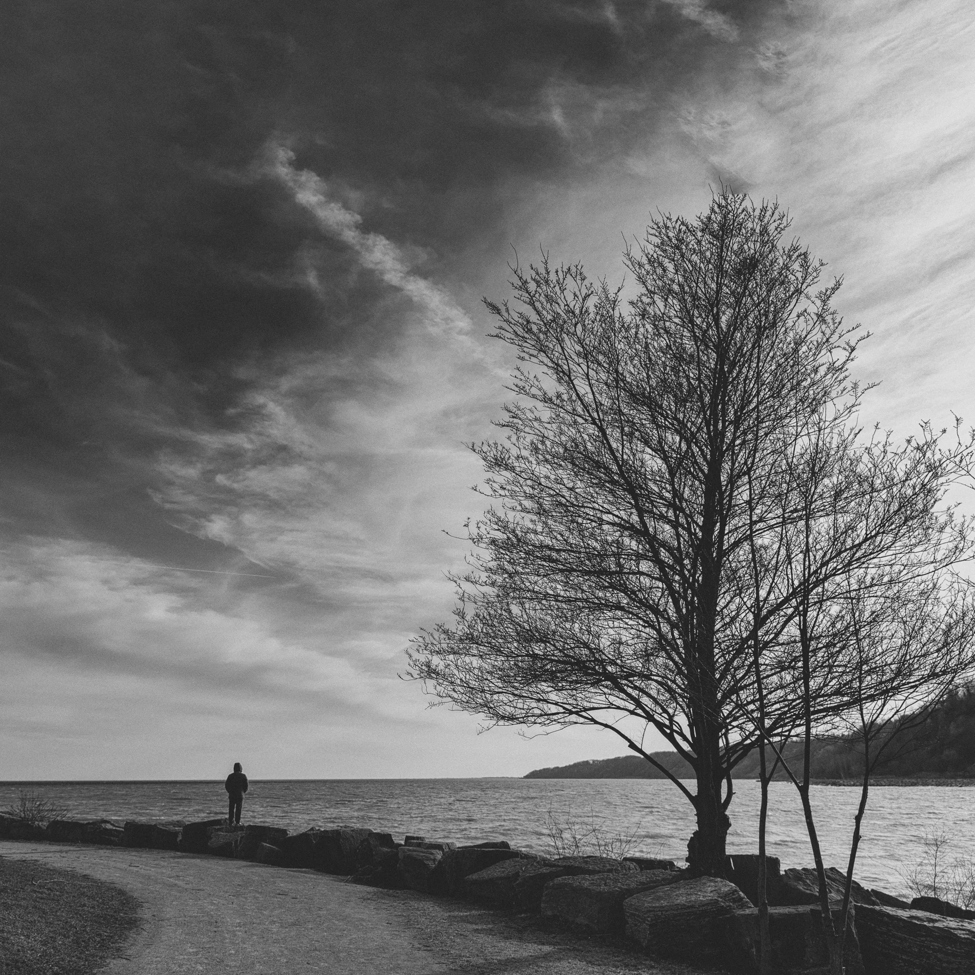Bluffer's Park