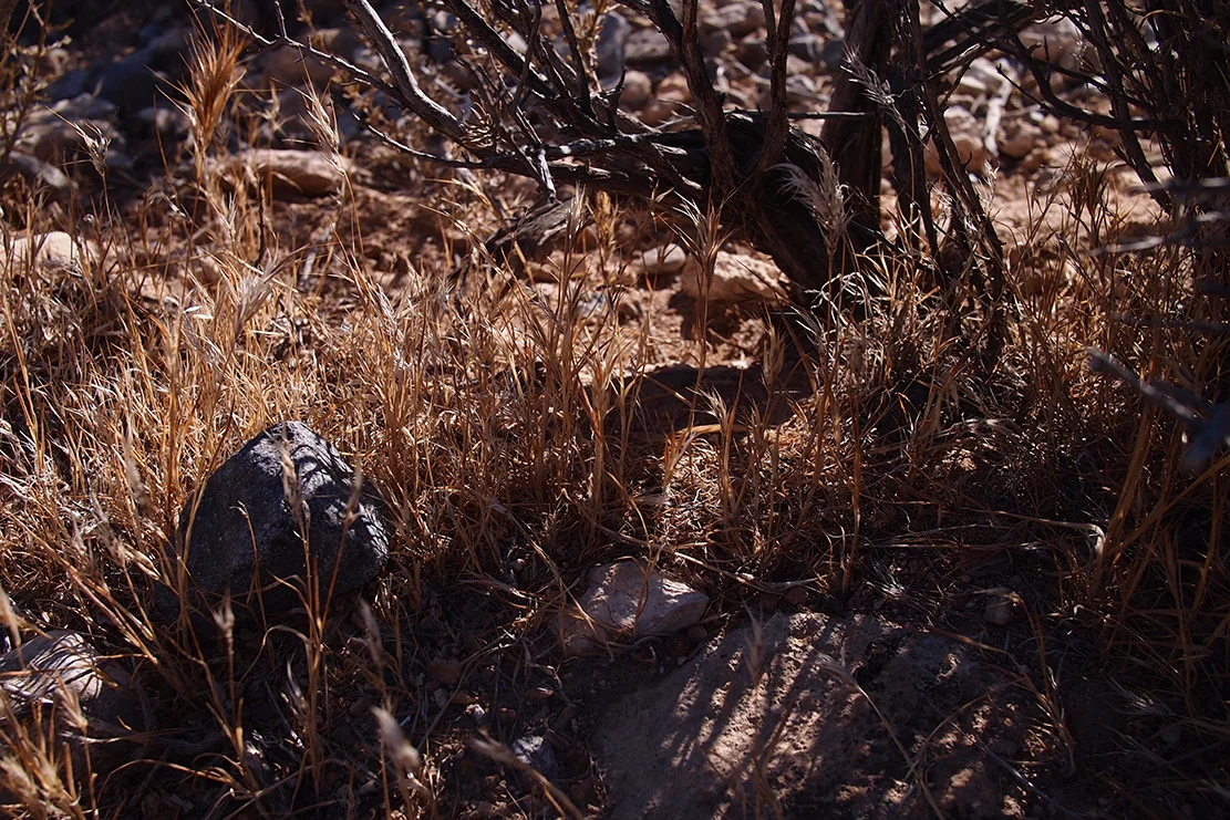 red-rock-nv_30514774223_o.jpg