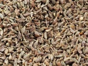 aniseed.jpg