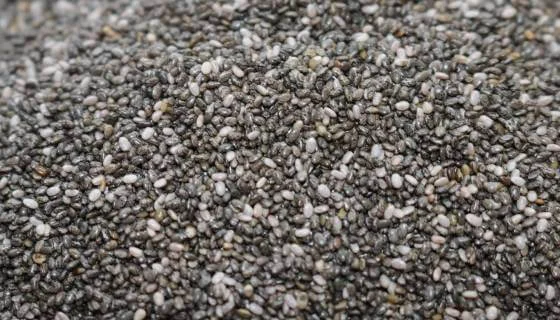chia+seeds.jpg