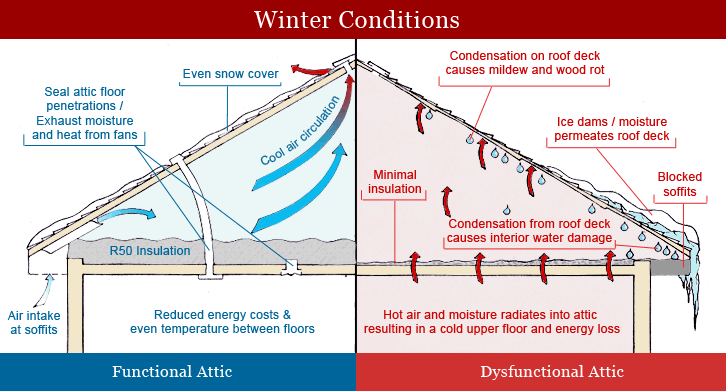 attic insulation