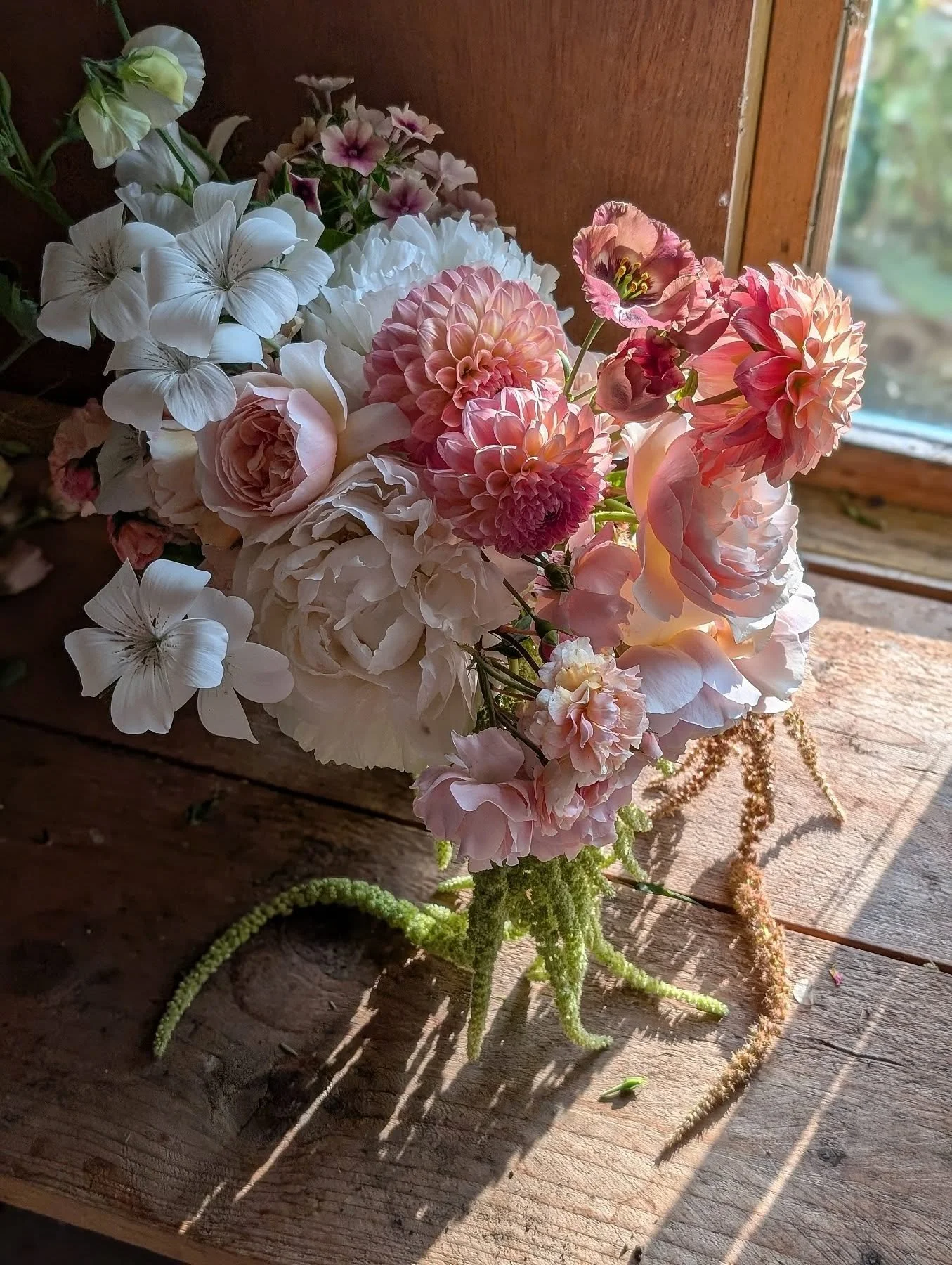 Some rain, finally ❤️

#sustainableflowers #sustainableweddings #growingcutflowers #rainyday #weneedmoreofthis #fridayflowers #summerweddingflowers #bridalbouquet #bridalflowers #reelsflower #rosieandtheflowers