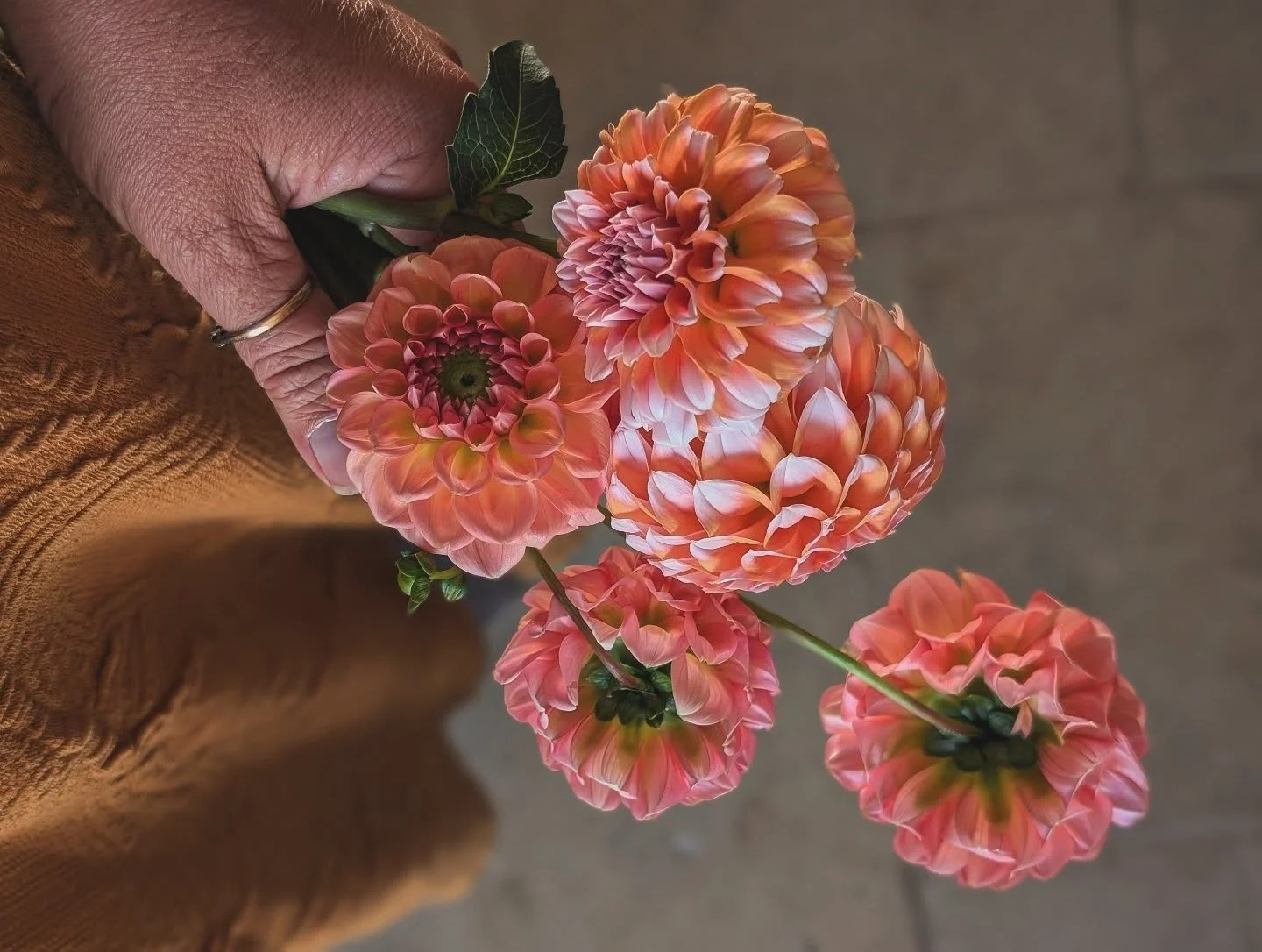 Making the most of the Dahlias - they were slow to take off this year due to the hot, dry weather but they are happier now. This is D. 'Peaches' and 'Lindas Baby'. 
I'm off for a wander around the Cambridge @thecraftandflea market with my Mum this af
