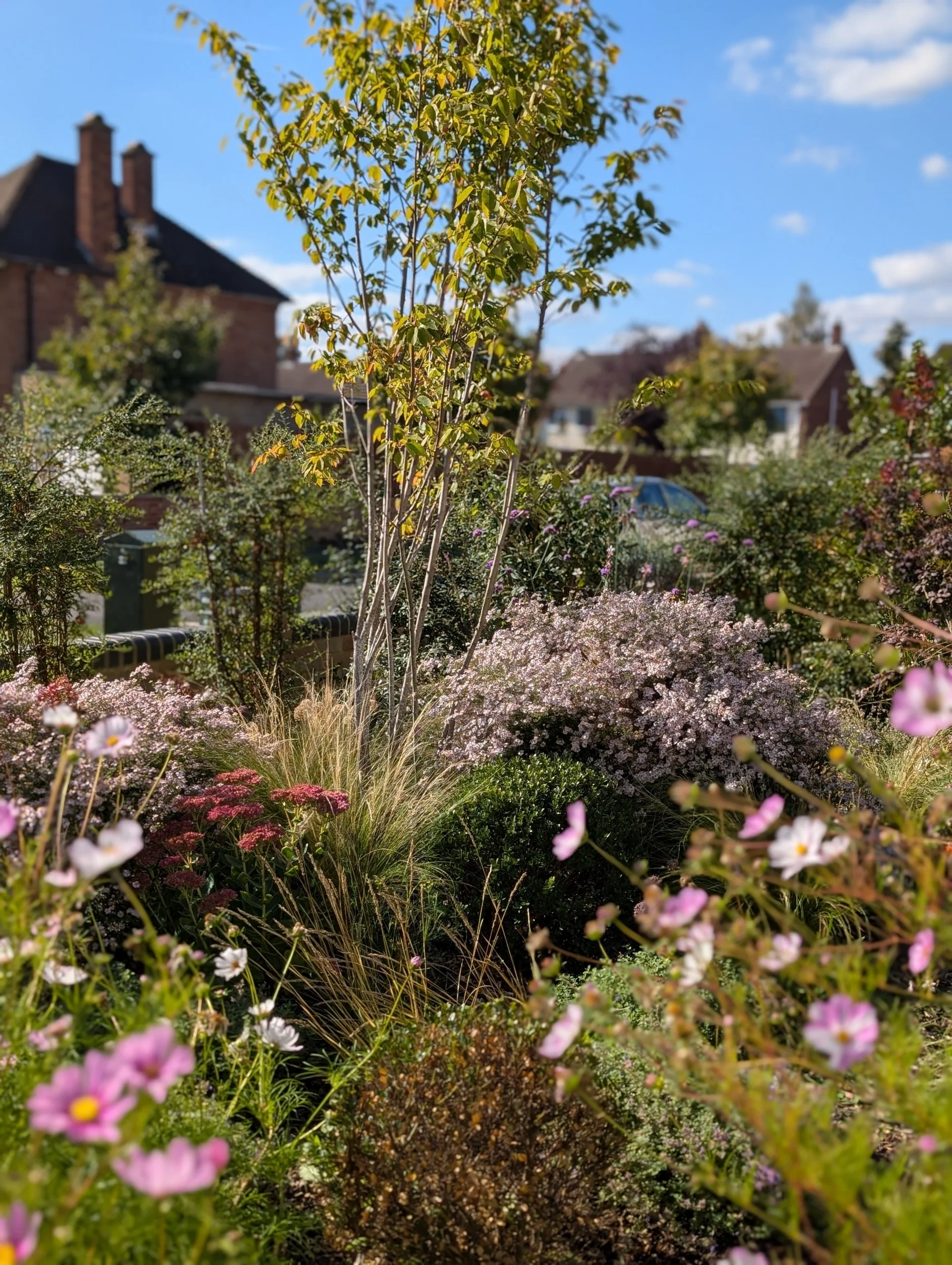A vibrant garden filled with blooming flowers, shrubs, and a young tree under a bright blue sky with scattered clouds.