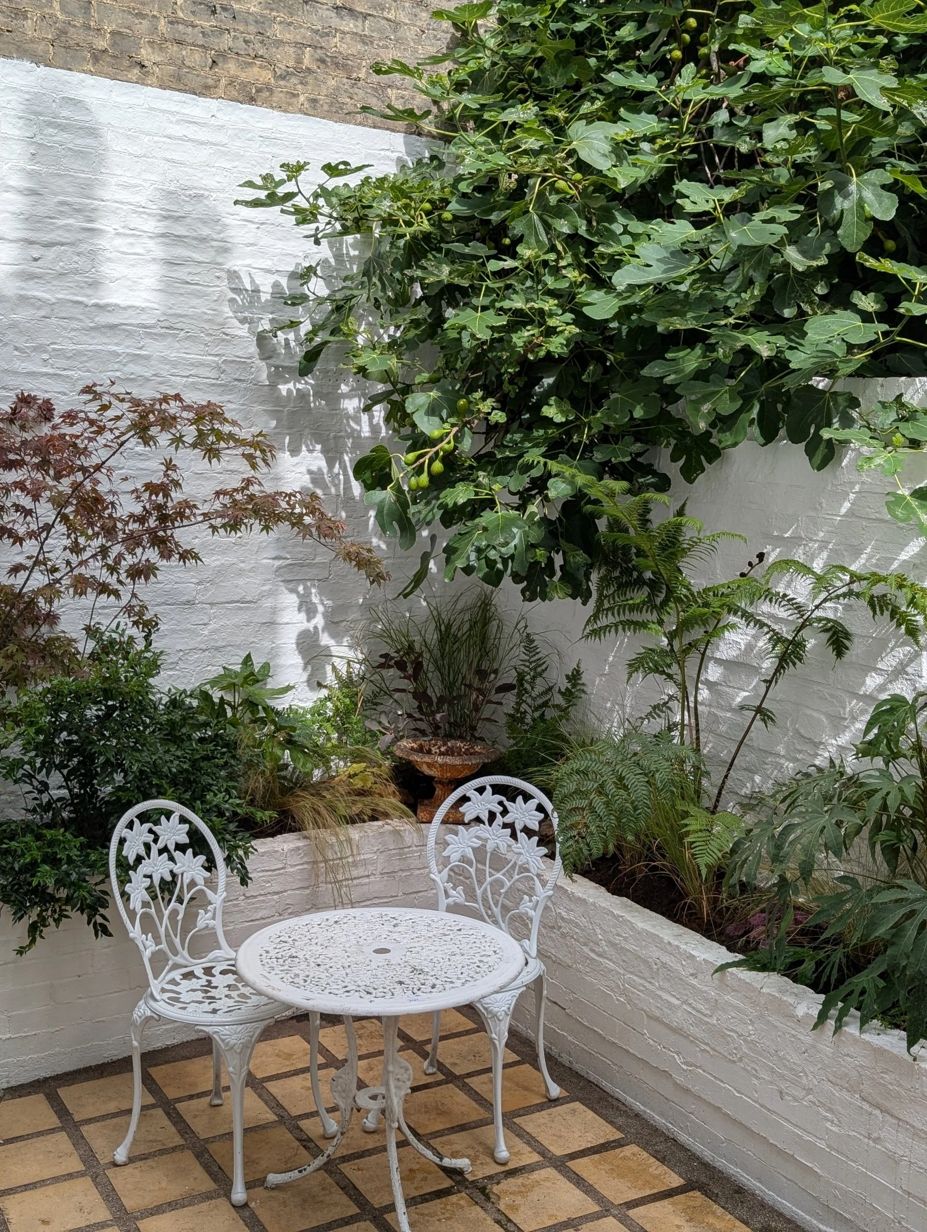 A small outdoor patio with two white ornate metal chairs and a matching round table, surrounded by a corner shaped raised bed with planting and a large leafy tree against white painted brick walls.