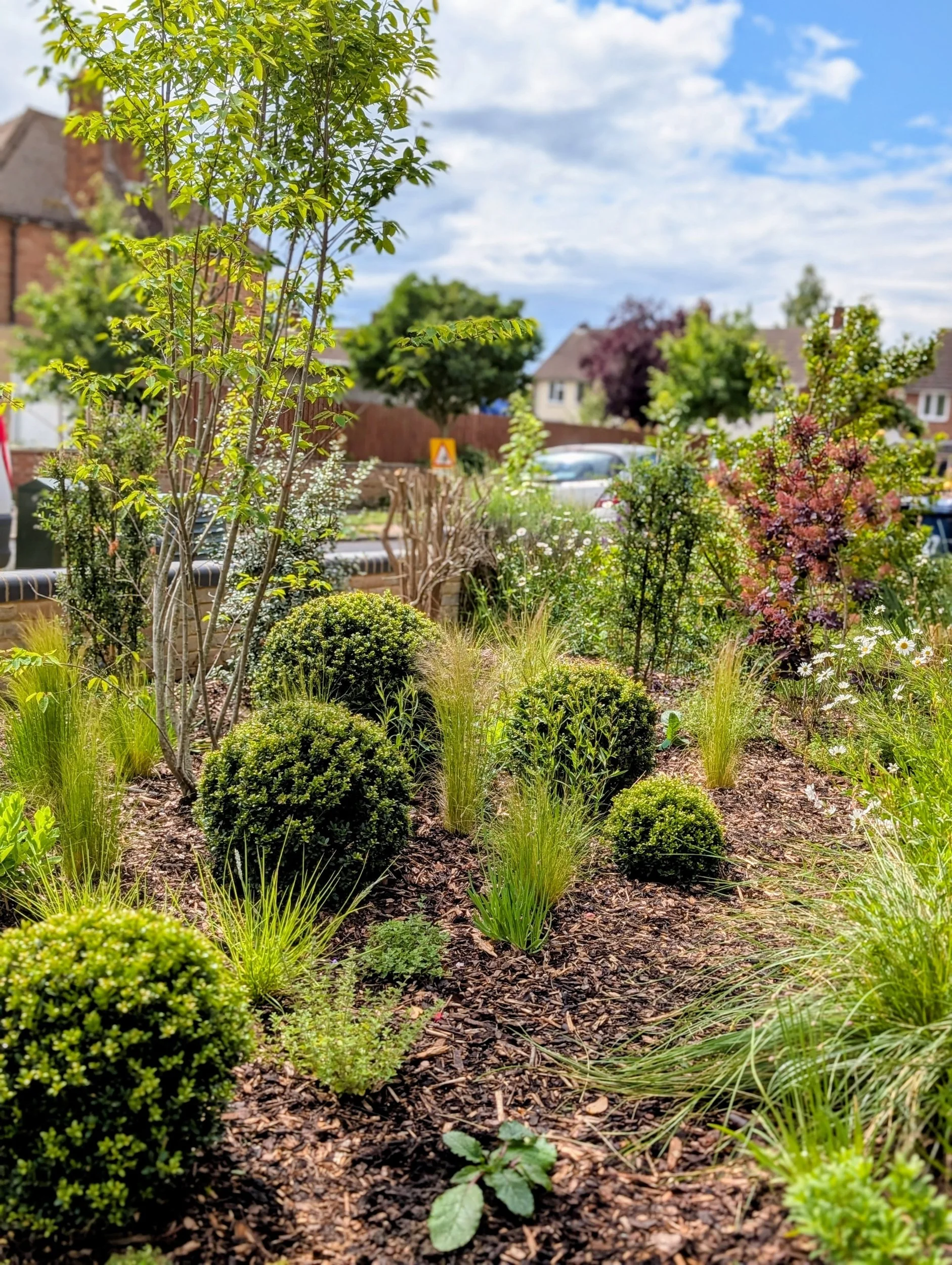 A lush garden with various shrubs, small trees, and flowers, under a partly cloudy sky.