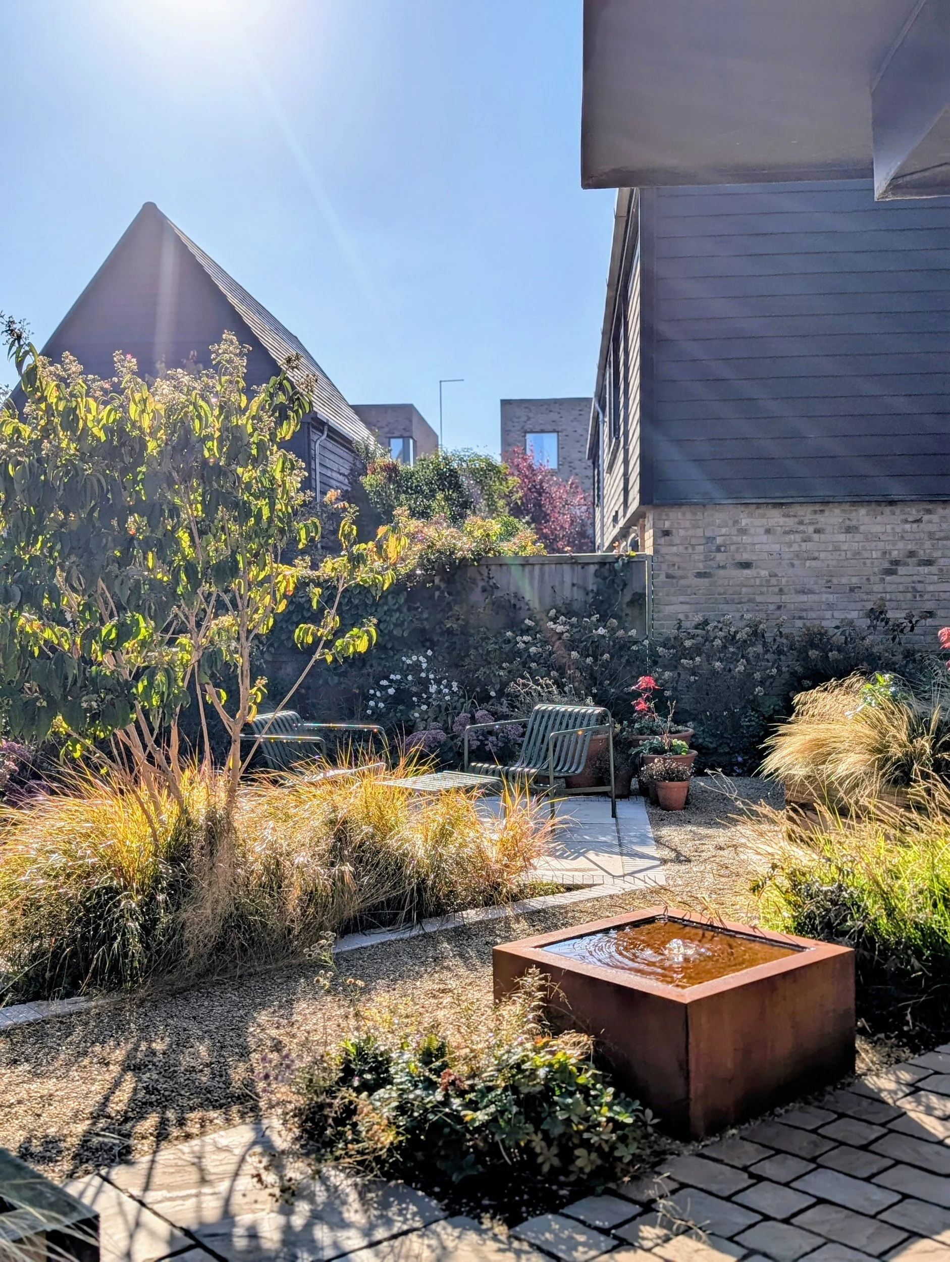 A sunny outdoor garden with chairs, plants, and a small water feature in a modern residential neighborhood.