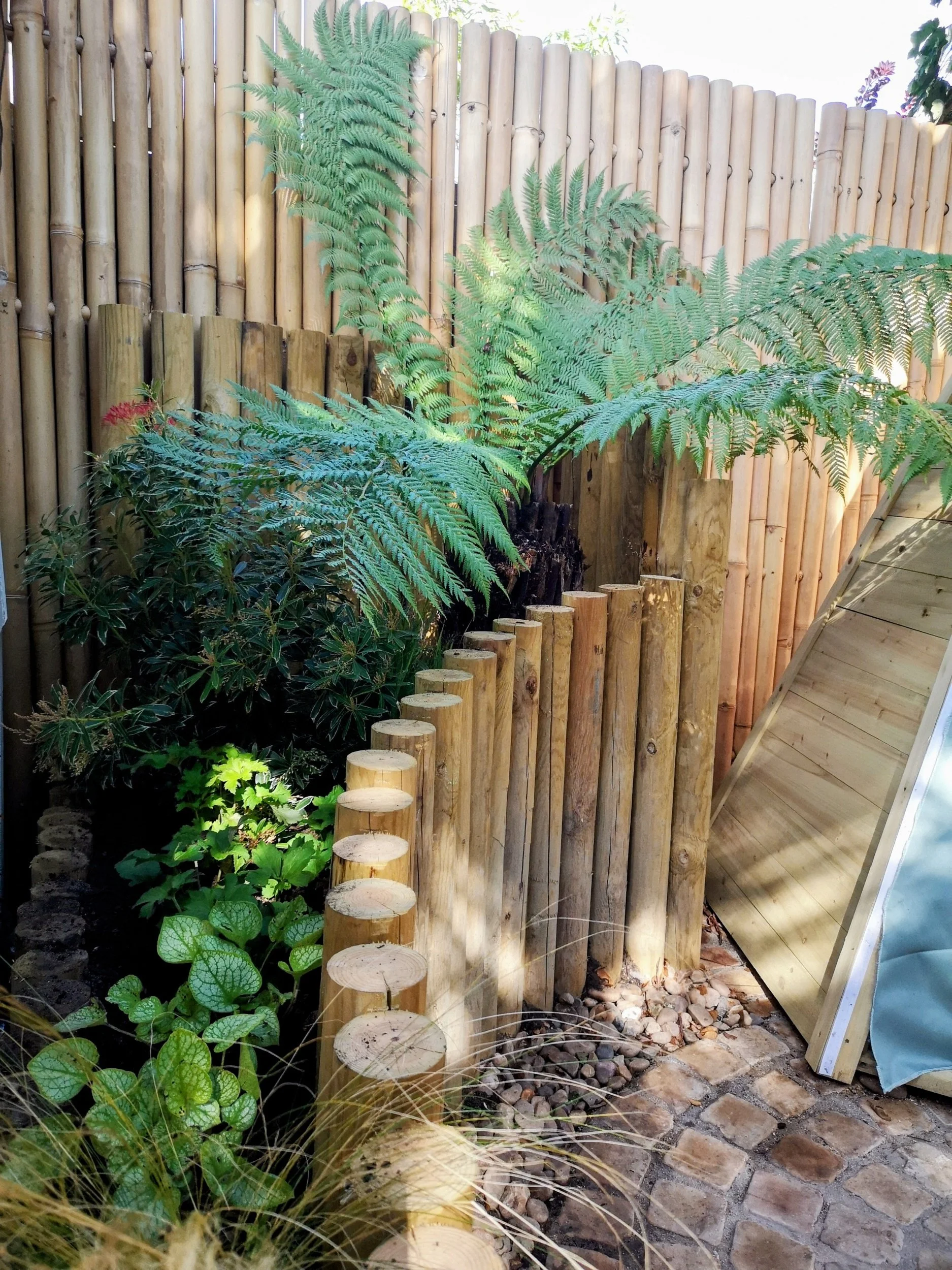 A garden with a bamboo fence, tall fern plants, and various smaller green plants on a brick ground.