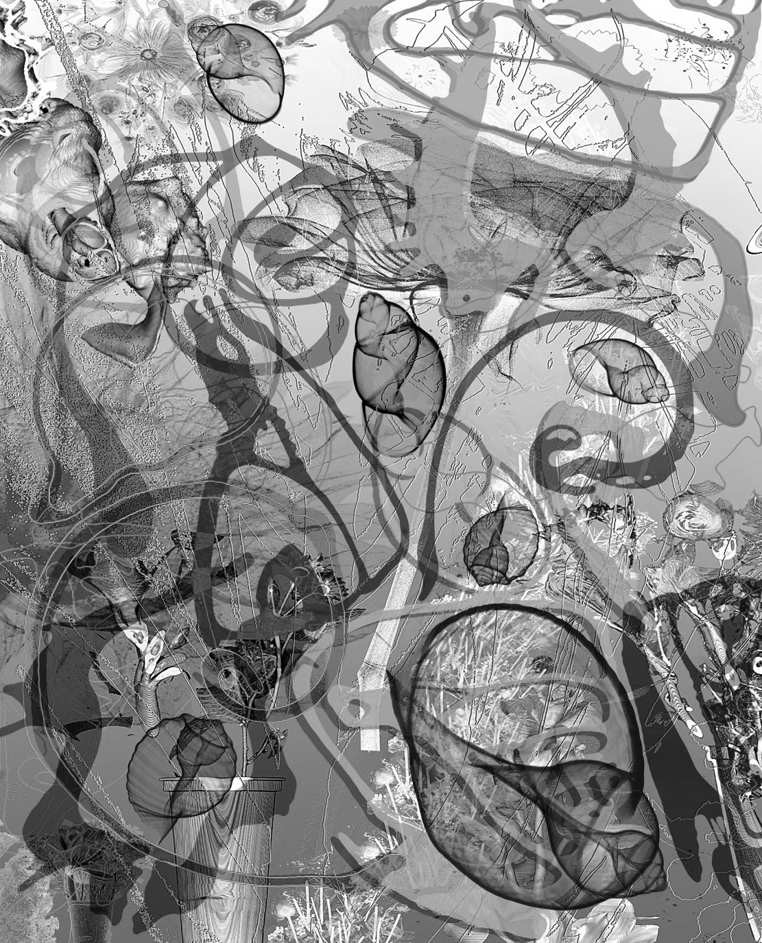 moonflowers_banner.jpeg