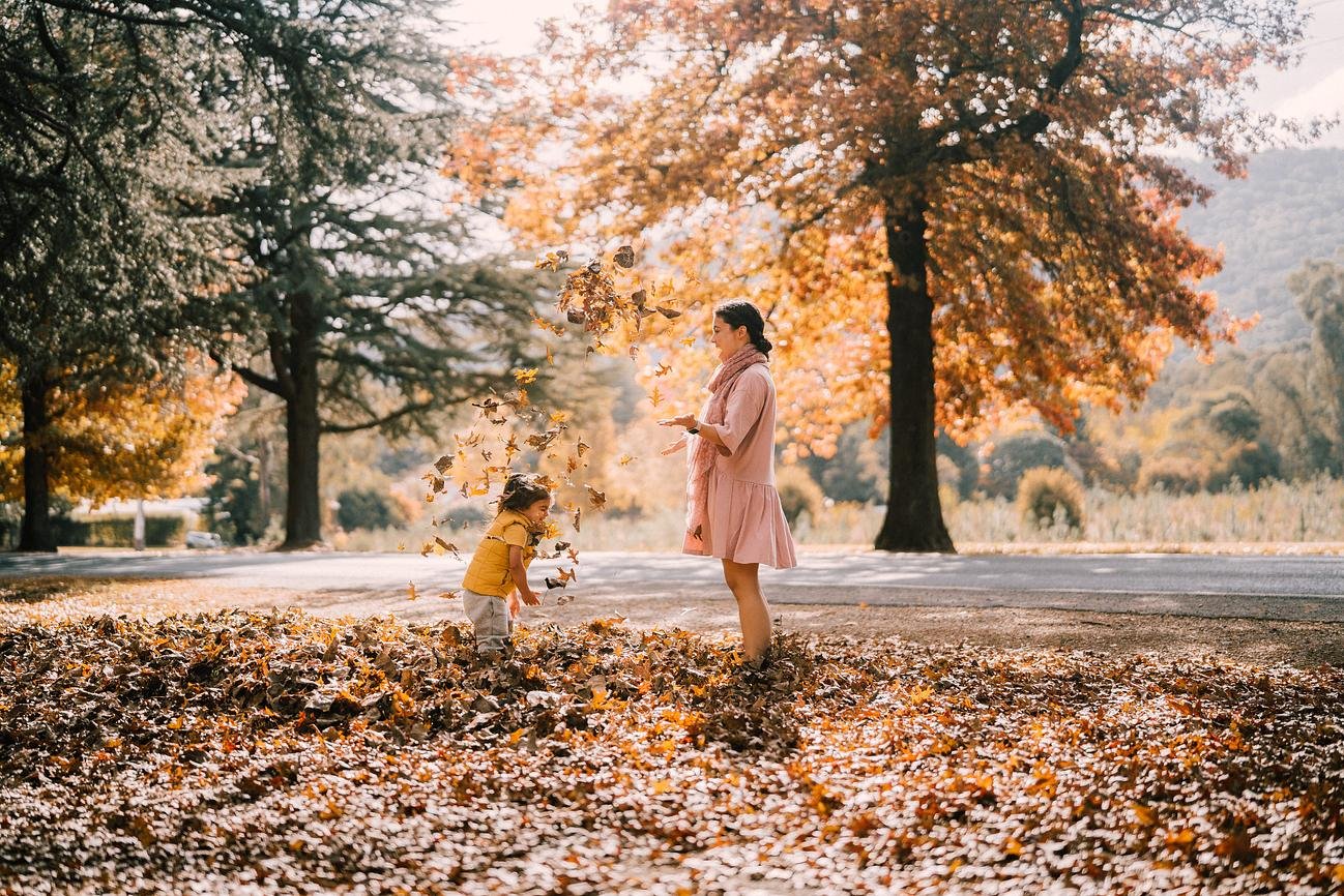 Family exploring autumn leaves in North East Victoria near Dunmore Farm
