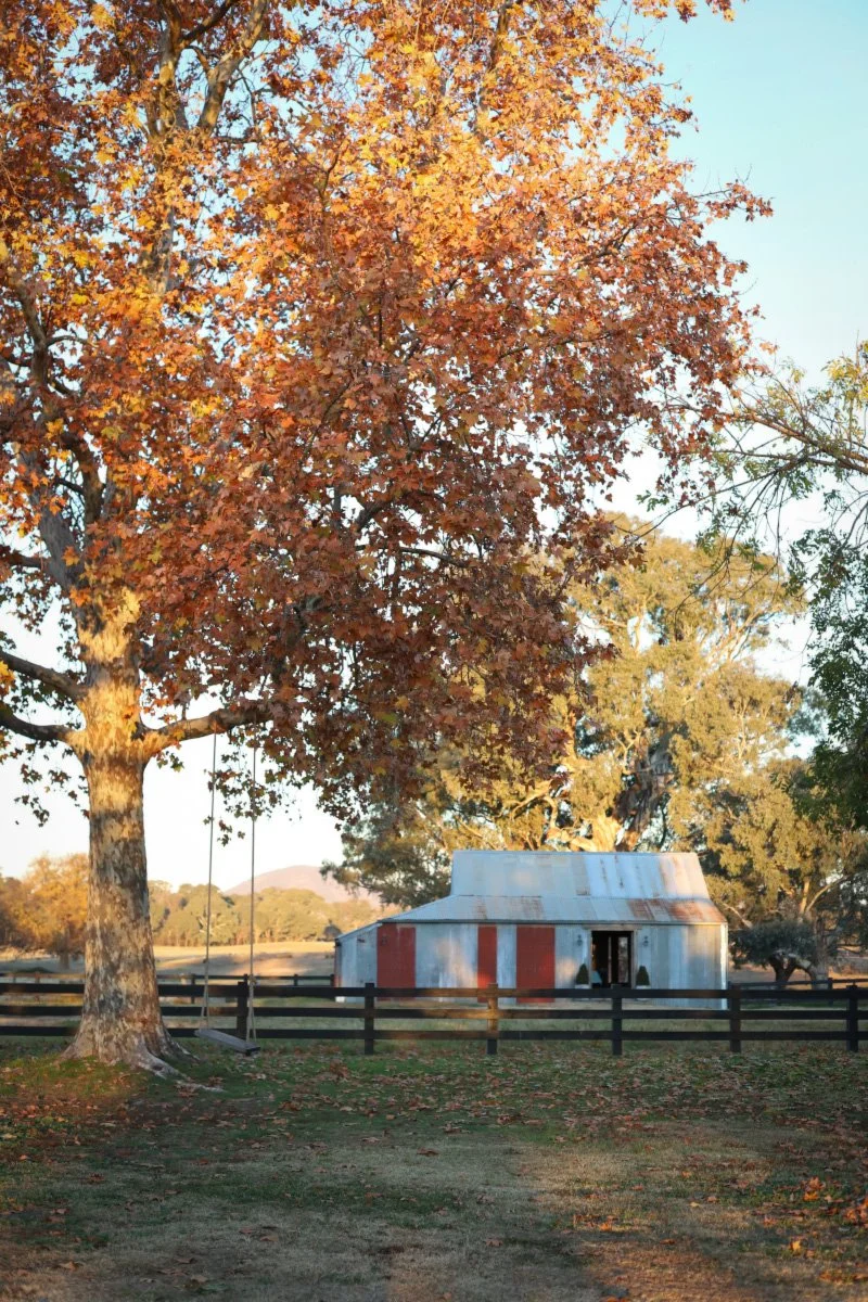 Dunmore Farm Sound Meditation and Brunch-2.JPG