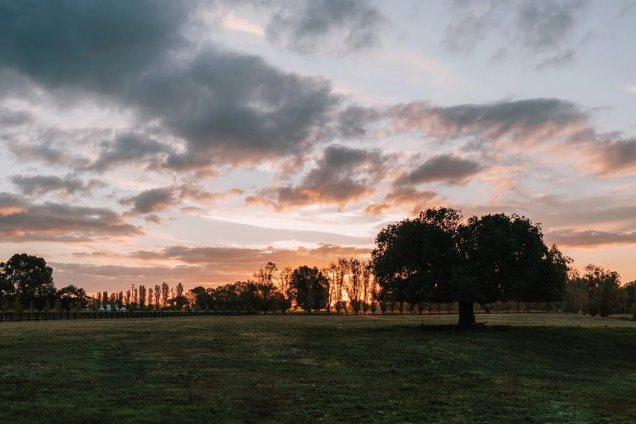 Sunset across open paddocks at Dunmore Farm in North East Victoria