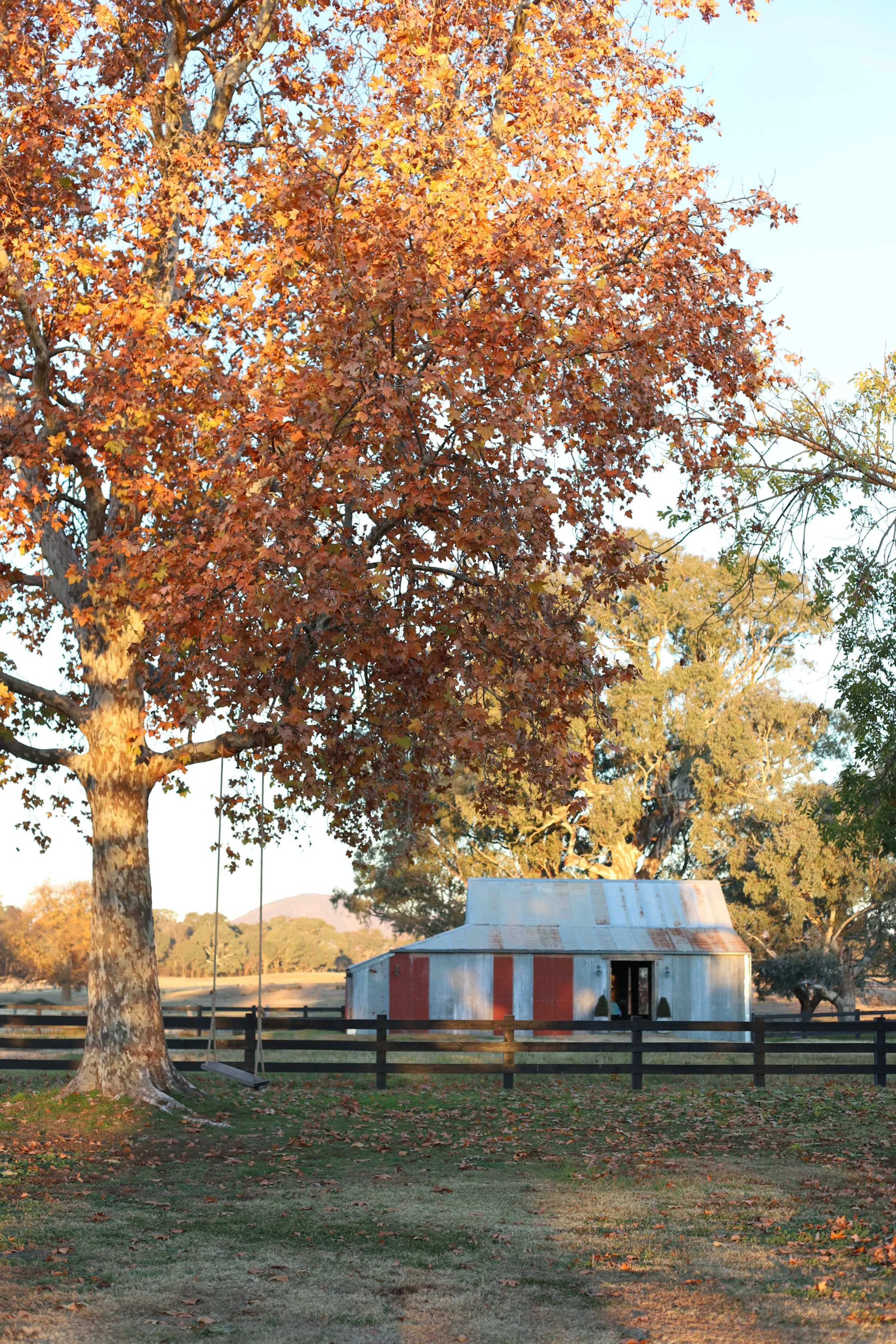 Dunmore Farm boutique farm stay cottage in regional Victoria, featuring a heritage weatherboard exterior, corrugated iron roof and private garden setting.