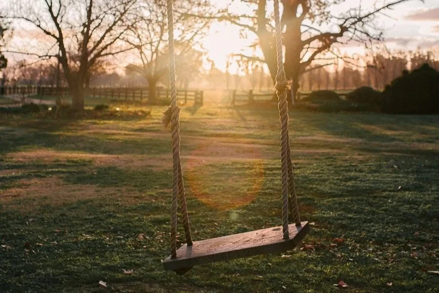 Rope swing at sunset overlooking the grounds at Dunmore Farm