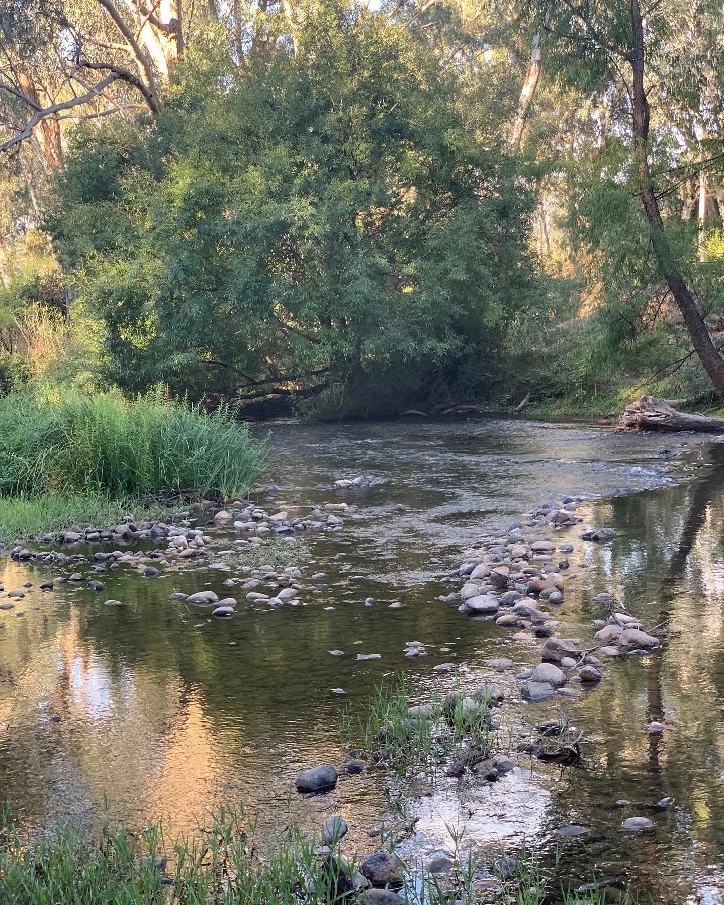 River landscape and bushland in North East Victoria near Dunmore Farm