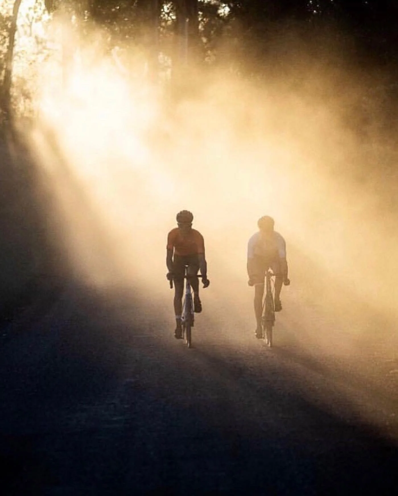 Cyclists riding through morning light in Victoria’s High Country near Dunmore Farm